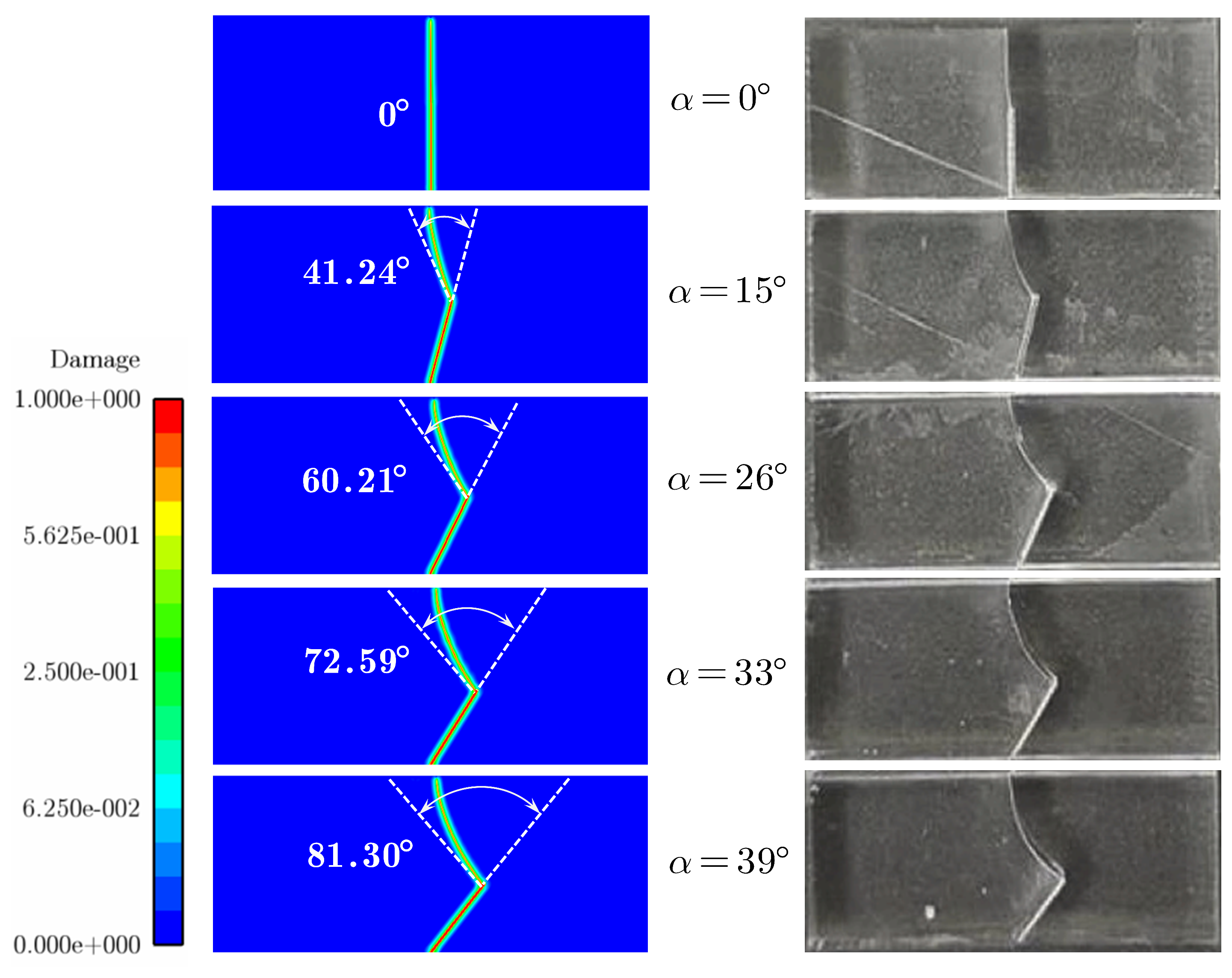 Preprints 139012 g017