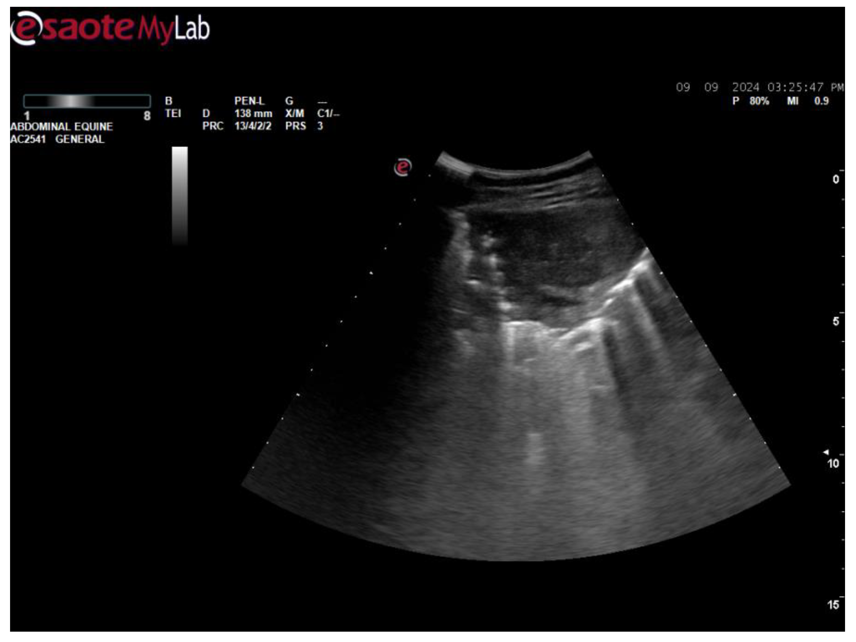 Preprints 144488 g005