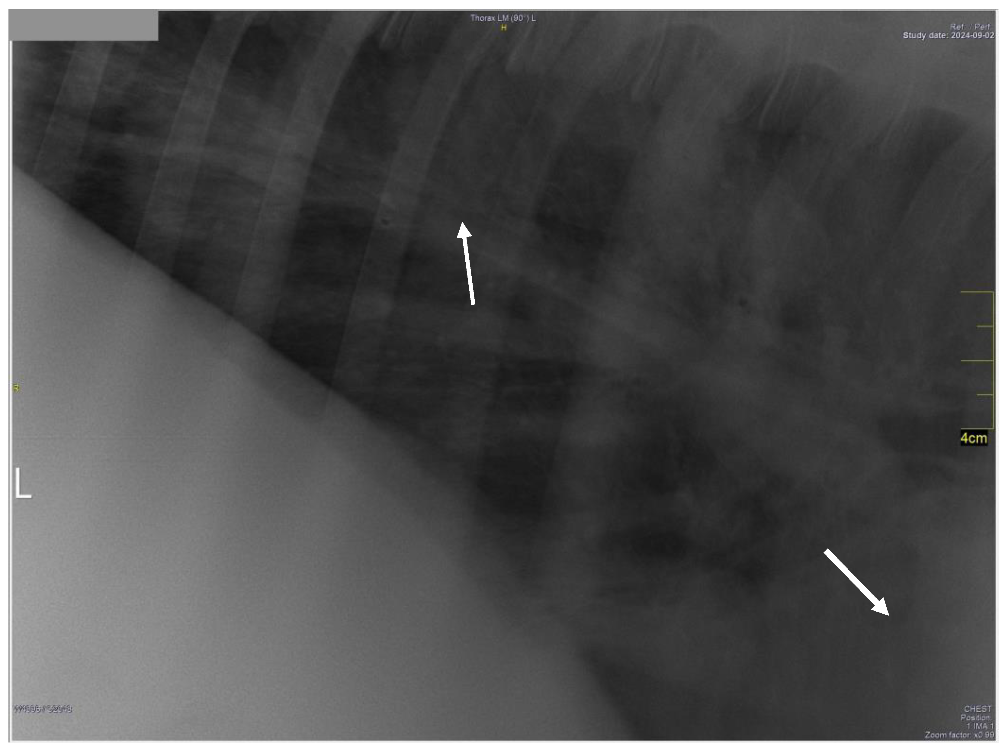 Preprints 144488 g006