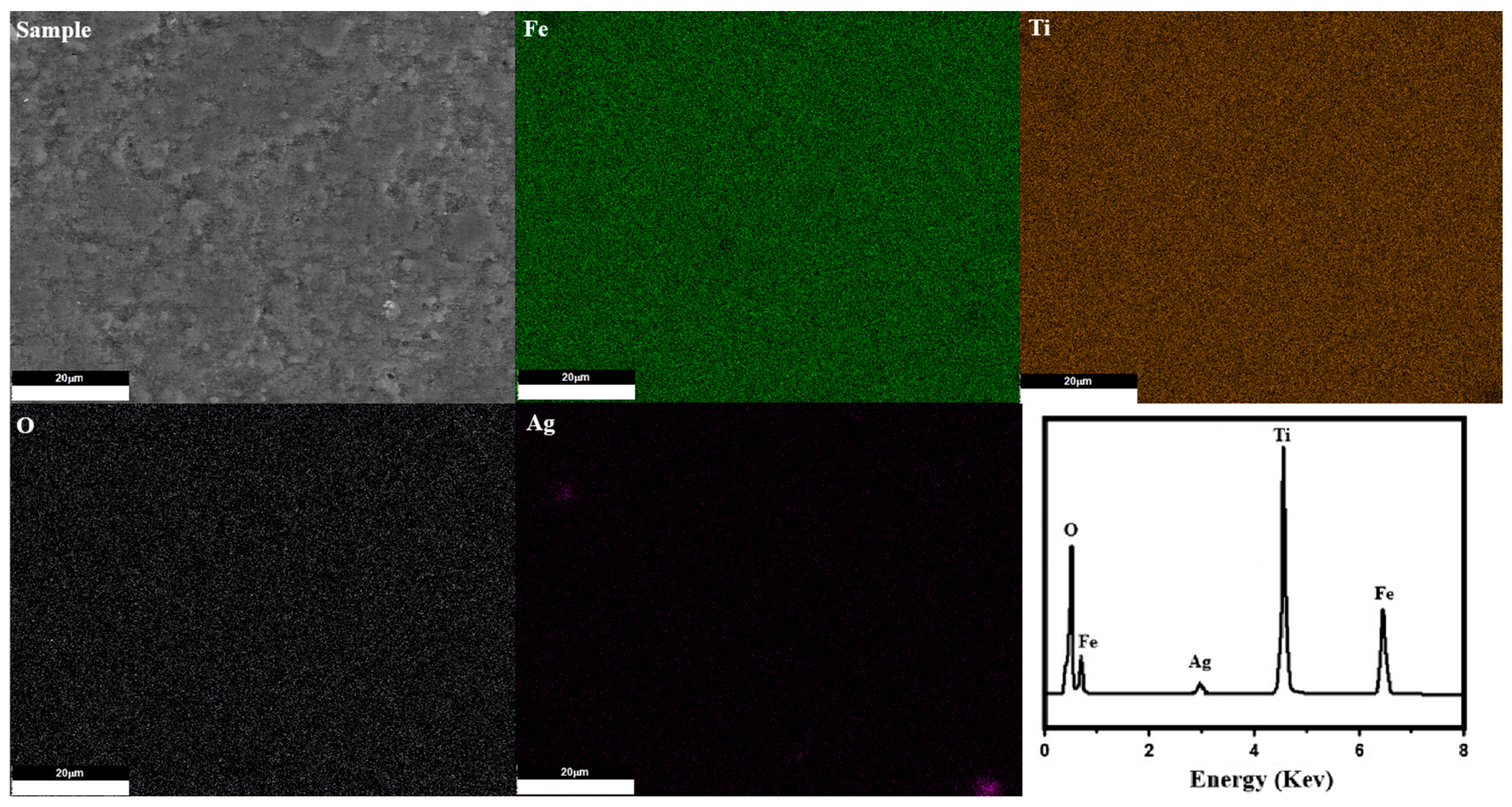 Preprints 210239 g005