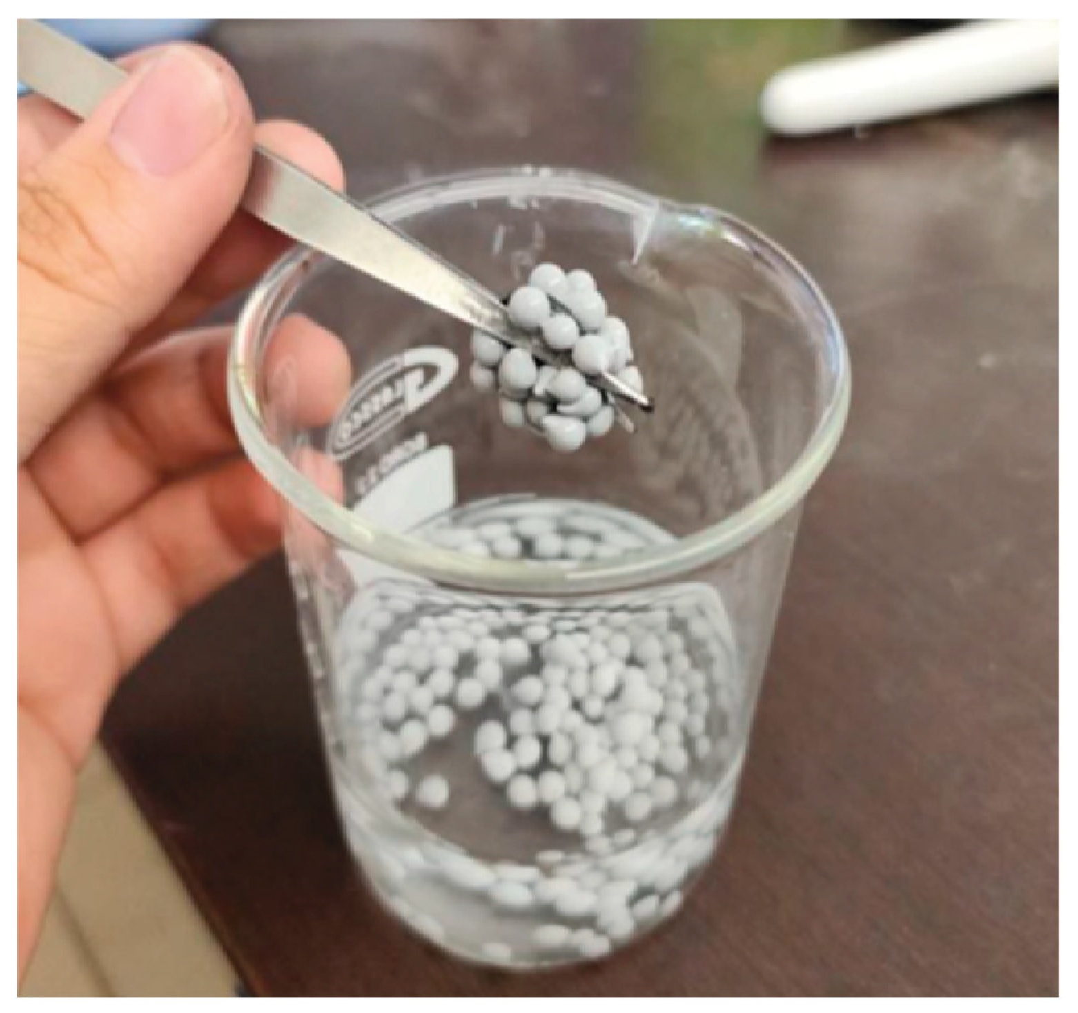 Preprints 210239 g008