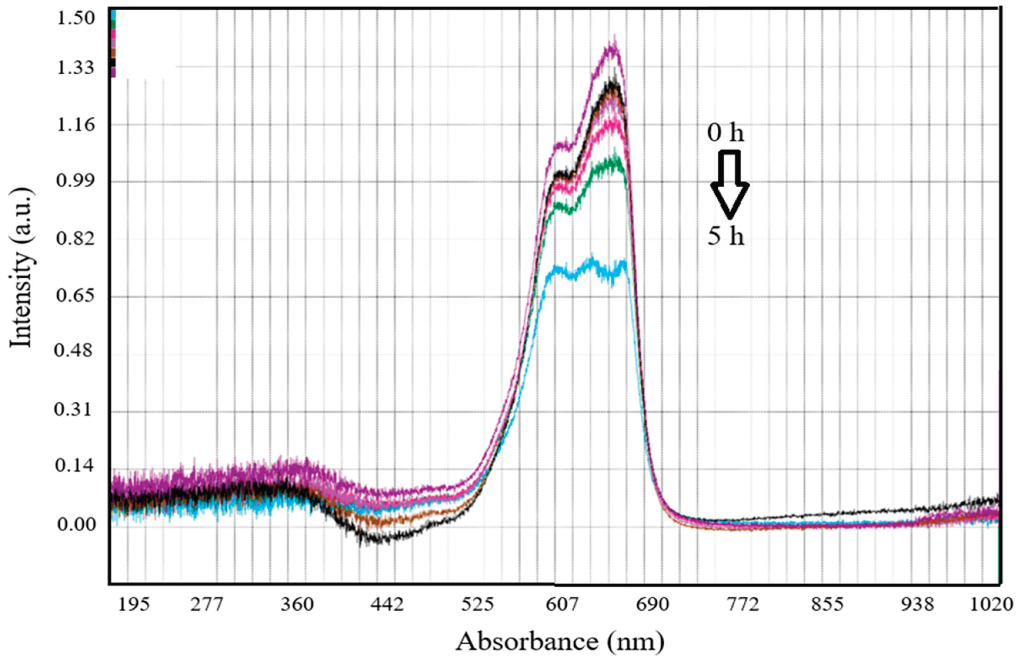 Preprints 210239 g009