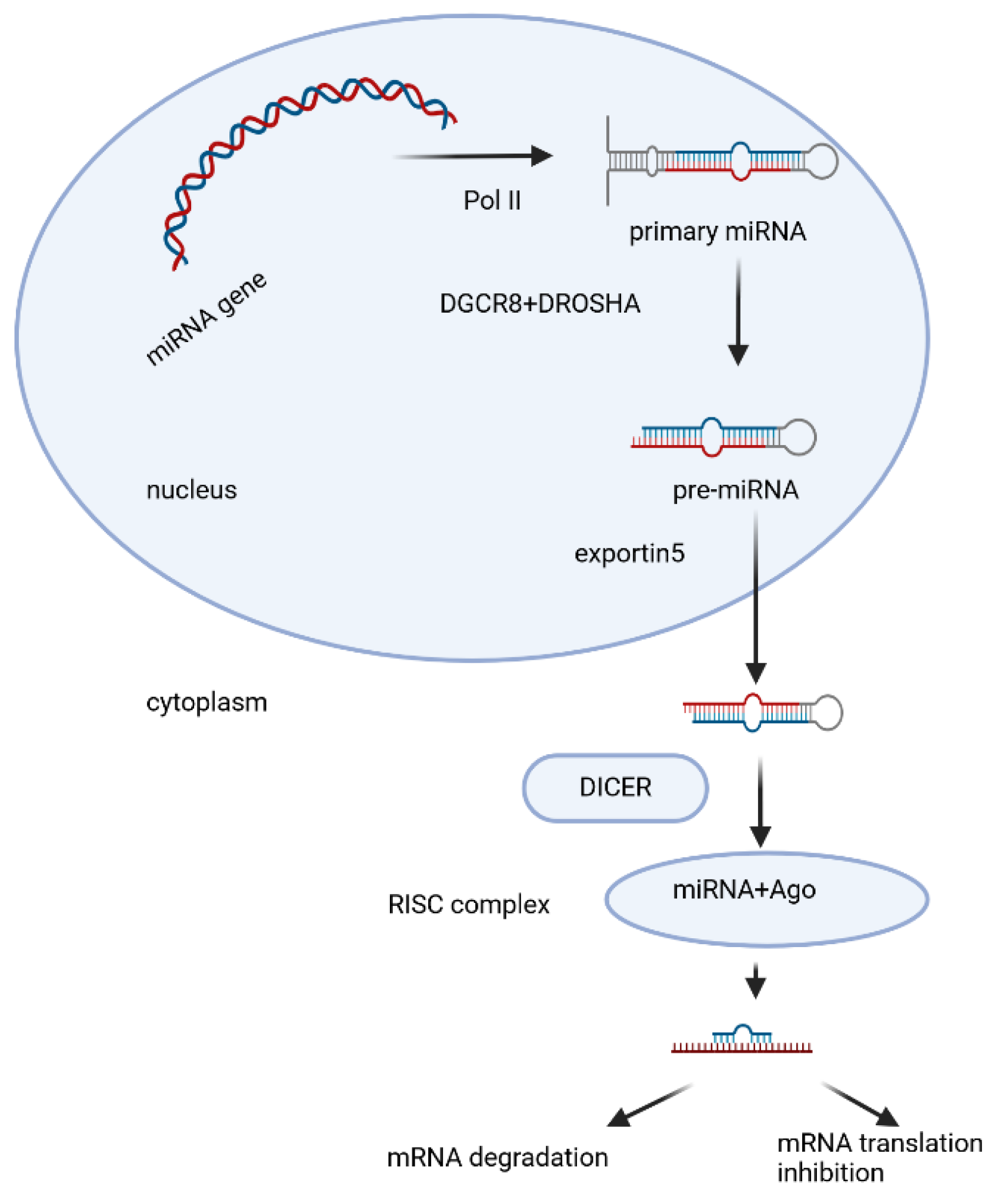 Preprints 114074 g001