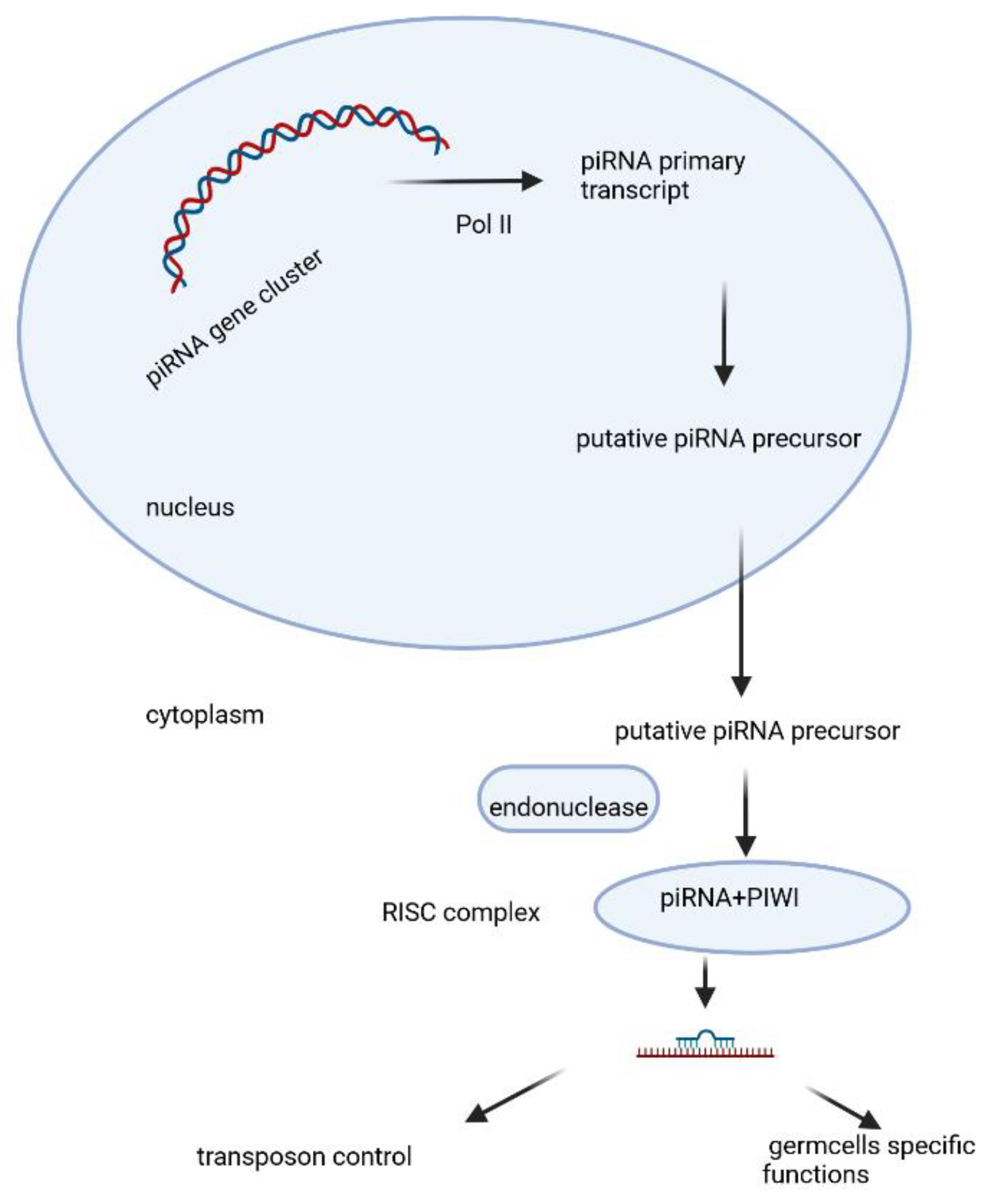 Preprints 114074 g002