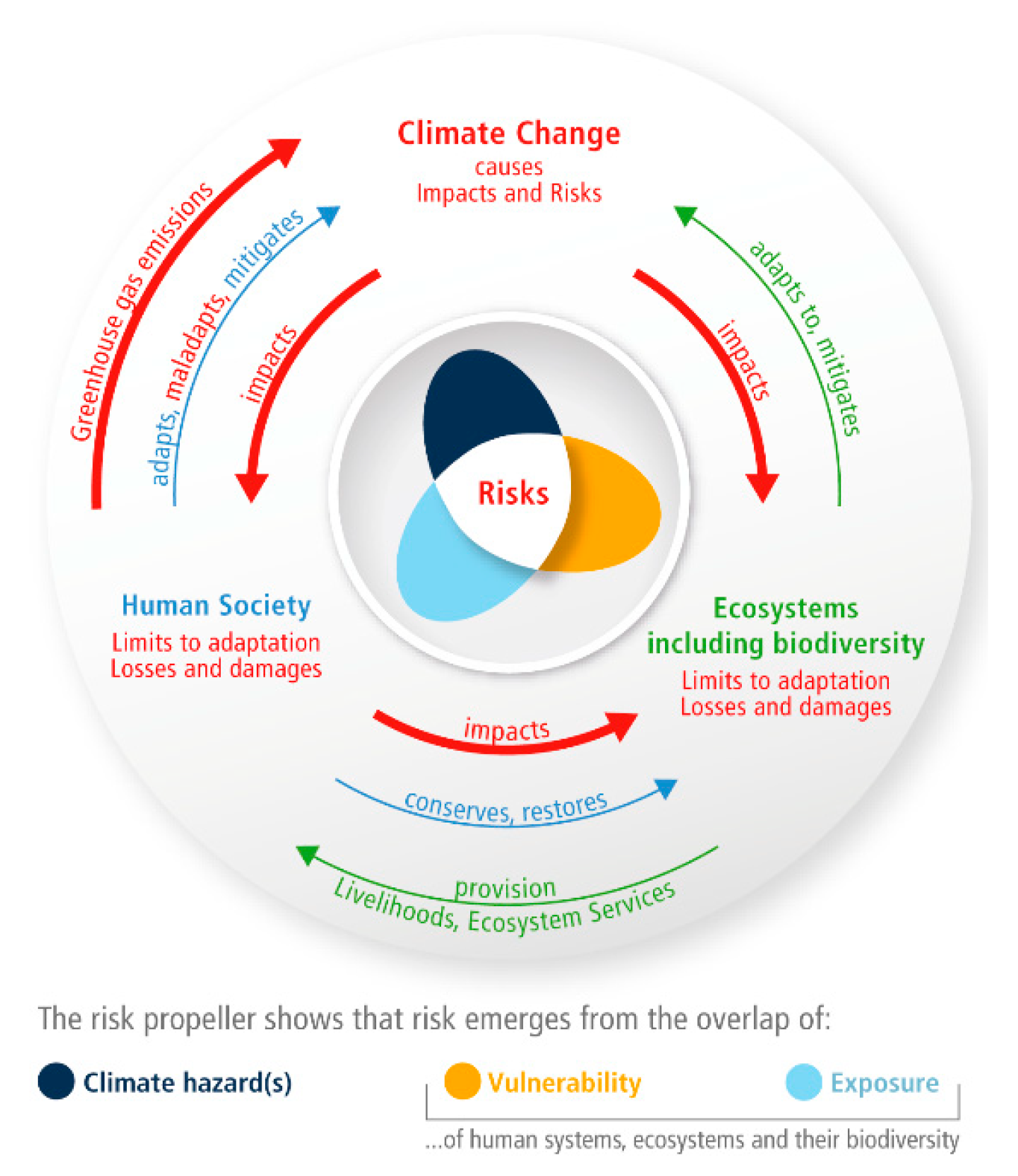Preprints 155340 g001
