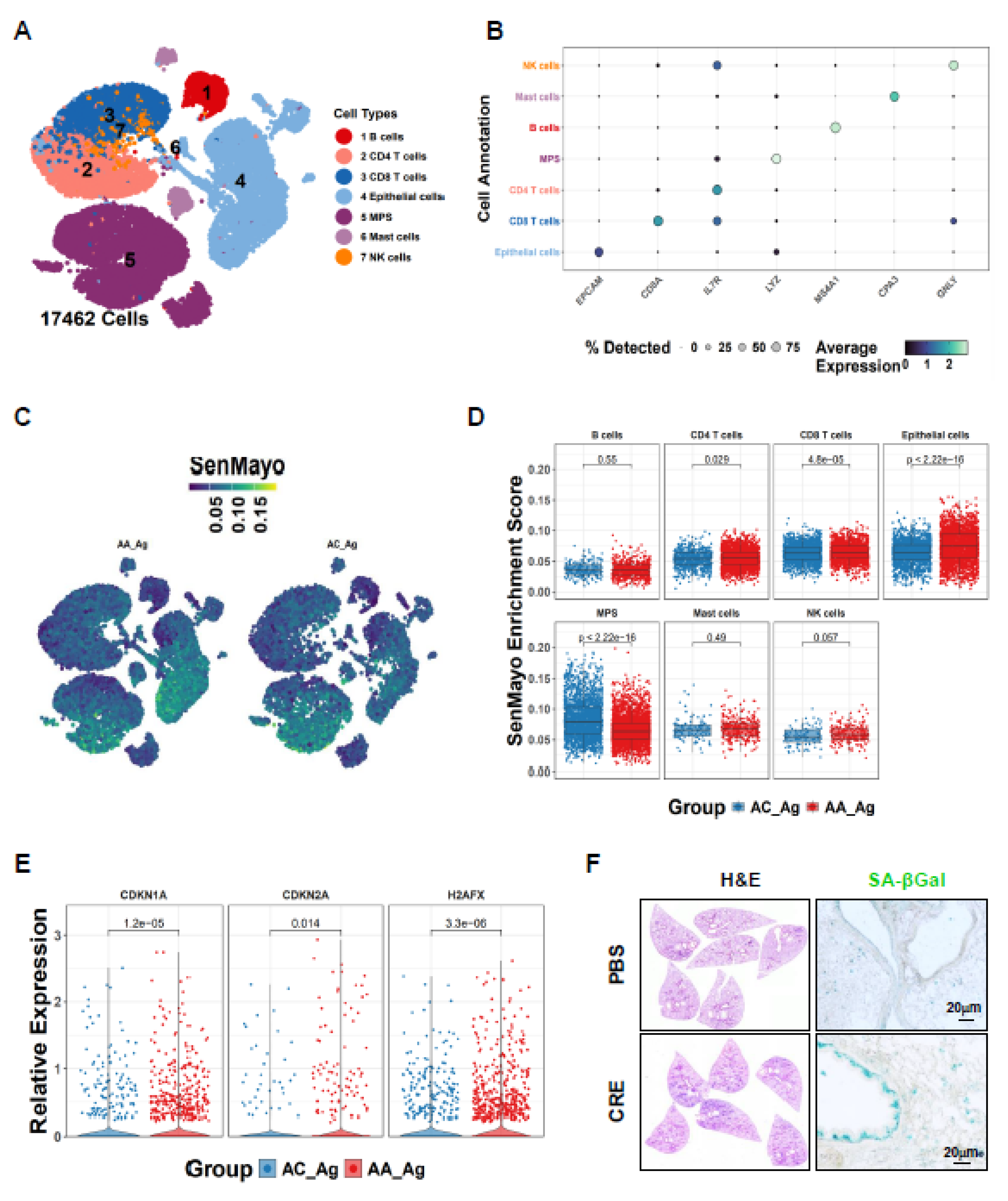 Preprints 181876 g001