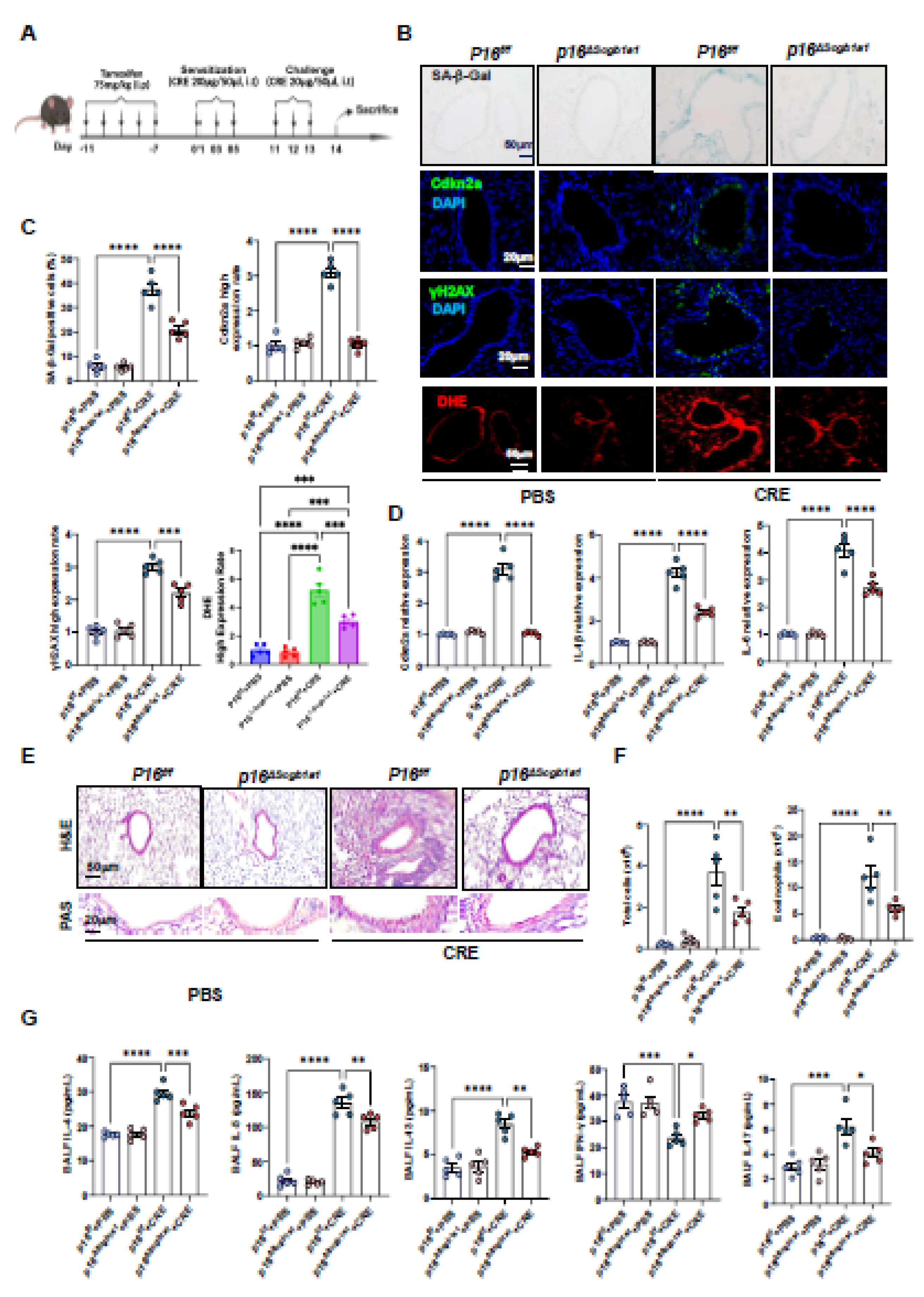 Preprints 181876 g002