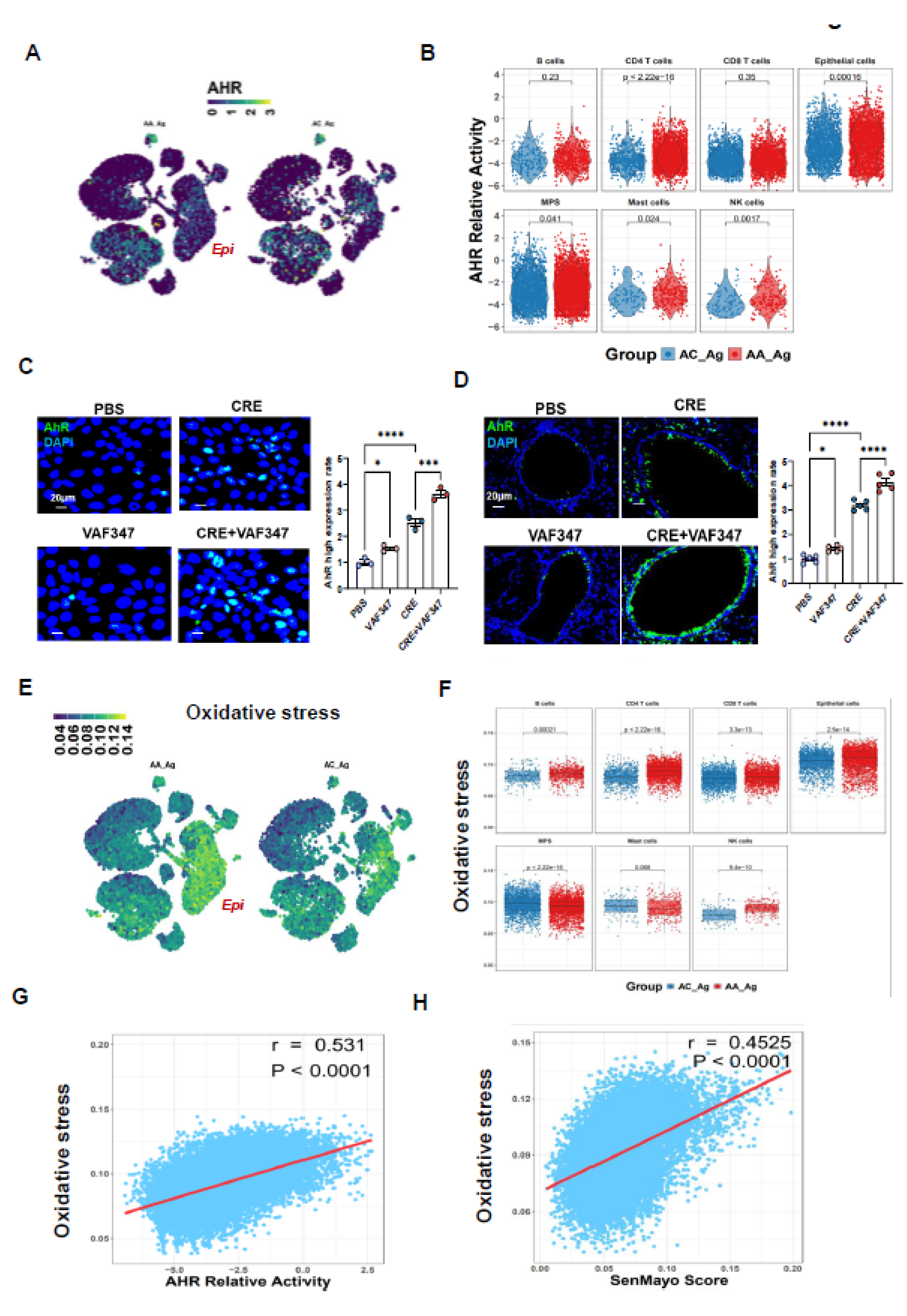 Preprints 181876 g003