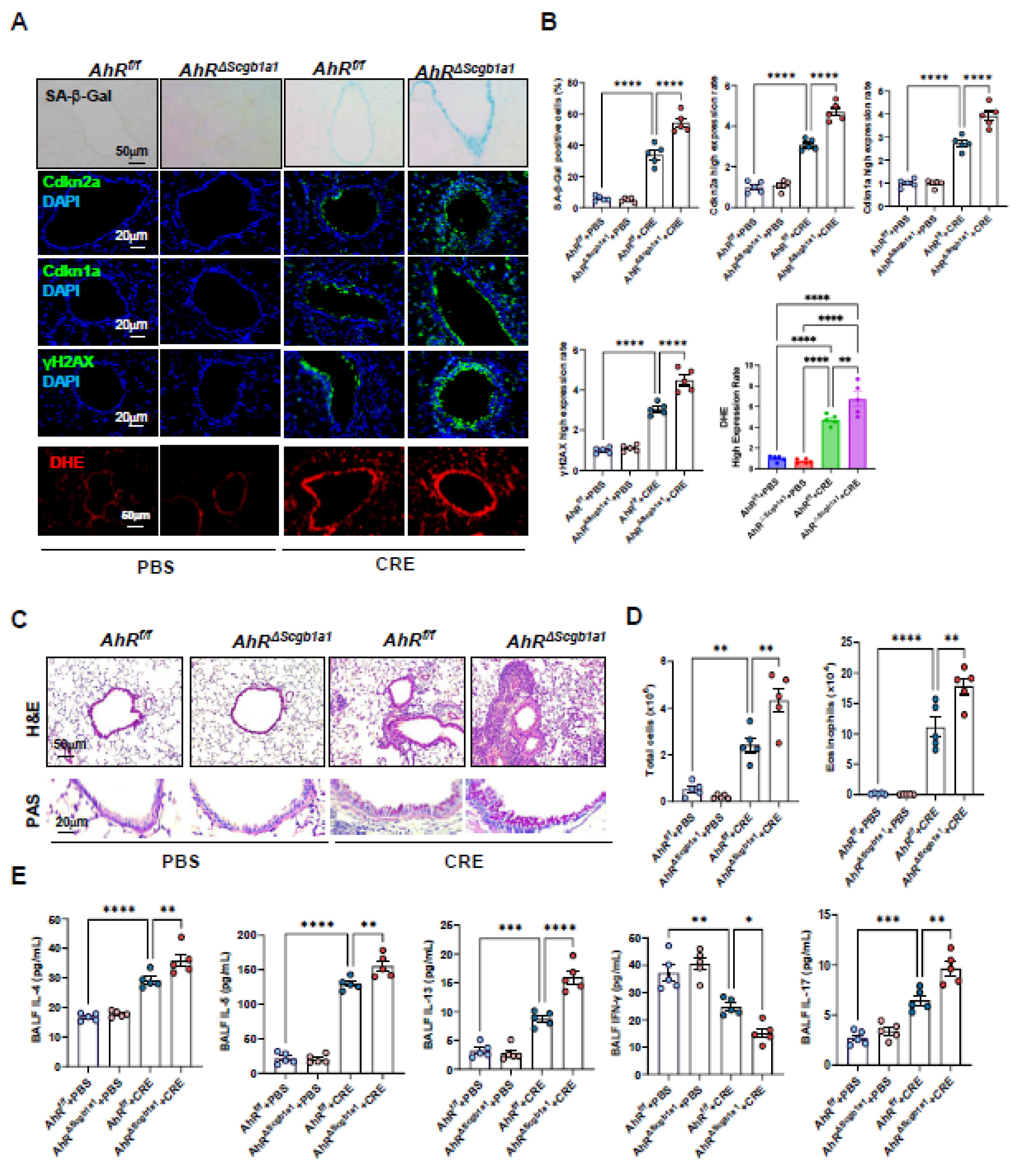 Preprints 181876 g004