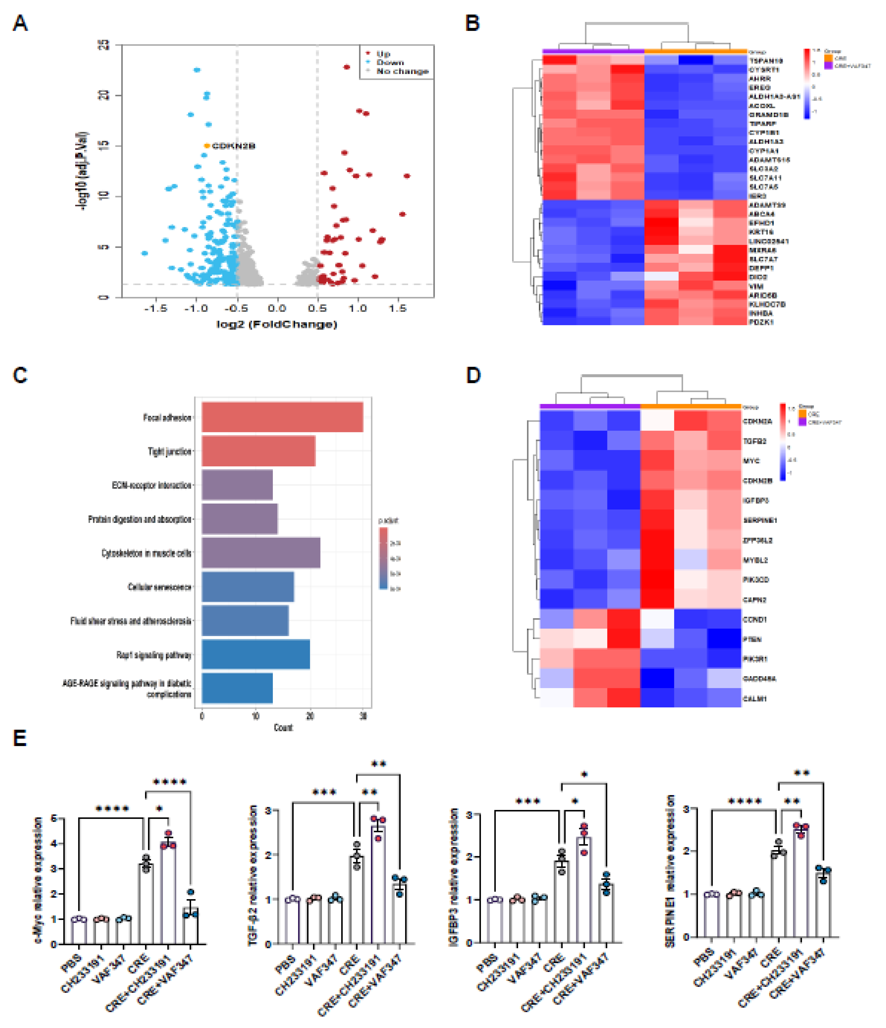 Preprints 181876 g005