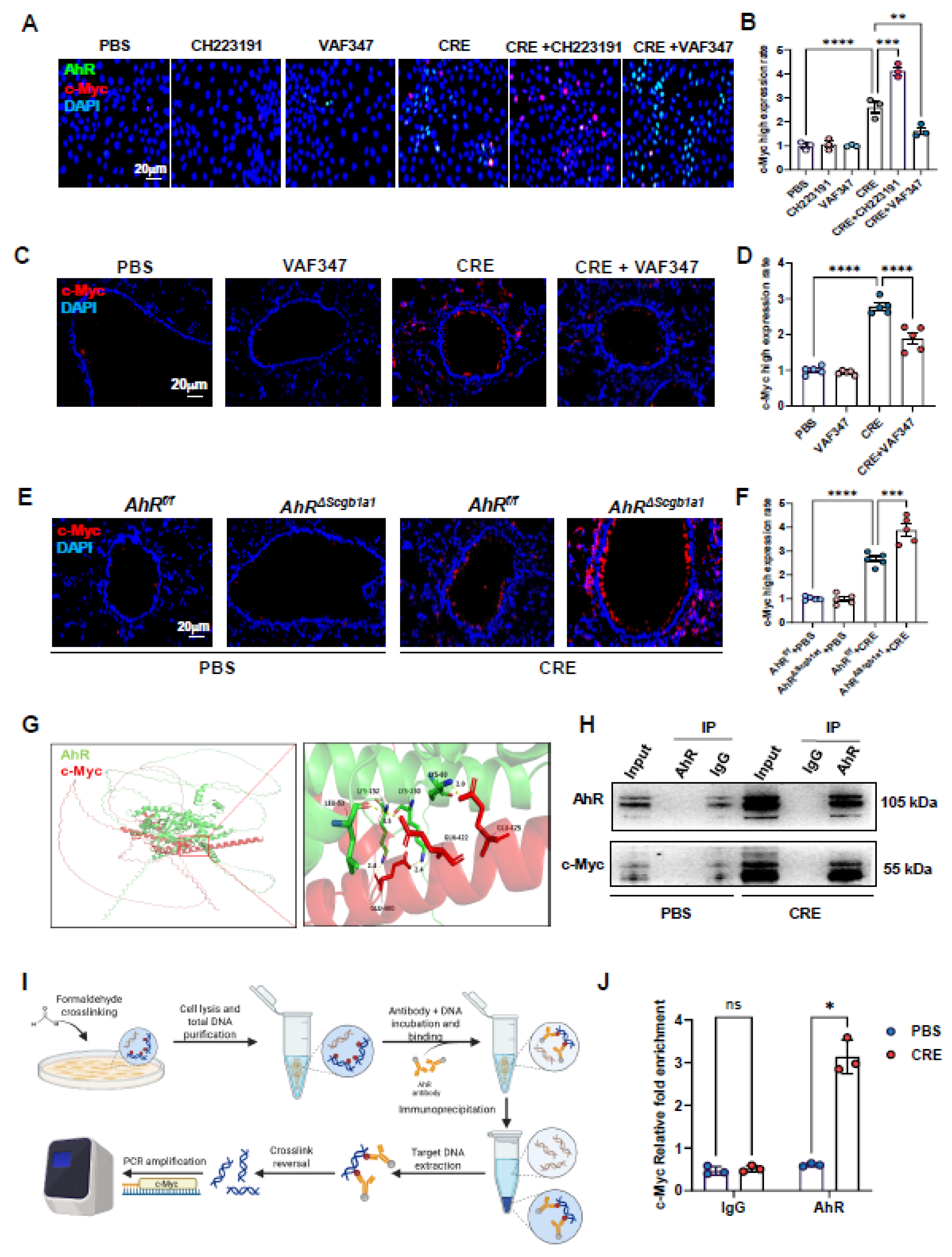 Preprints 181876 g006