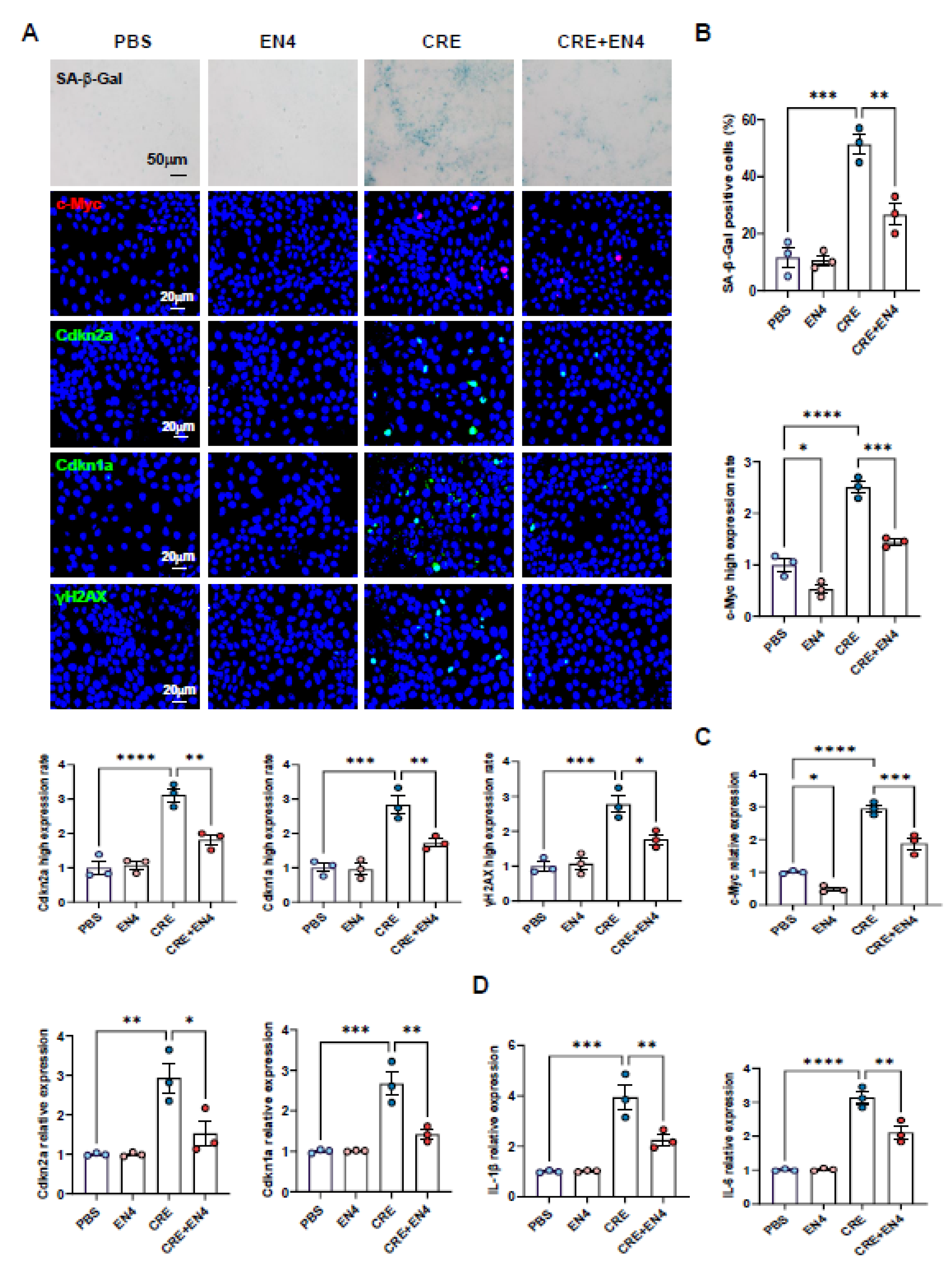 Preprints 181876 g007
