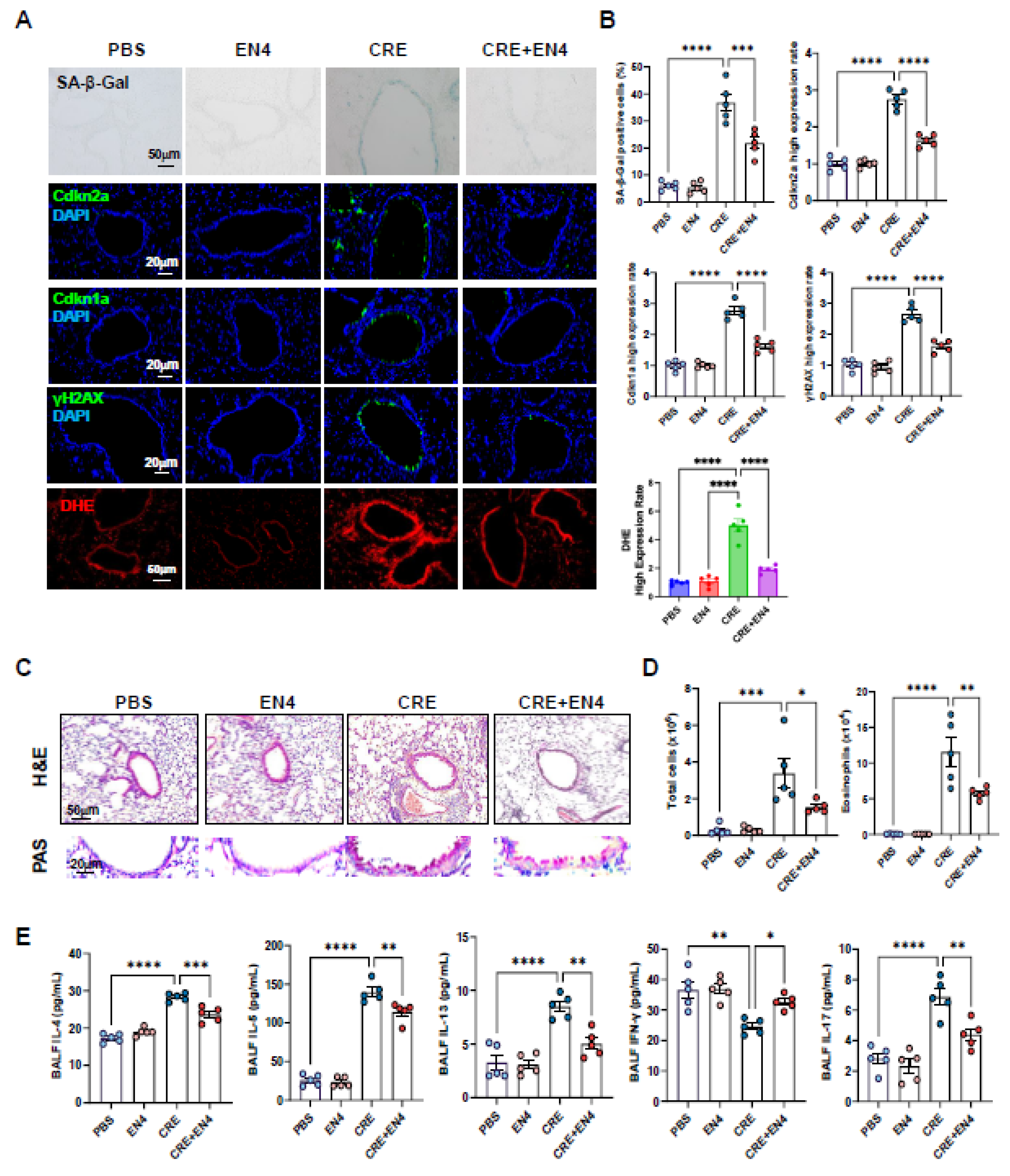 Preprints 181876 g008