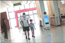 Preprints 156924 i002