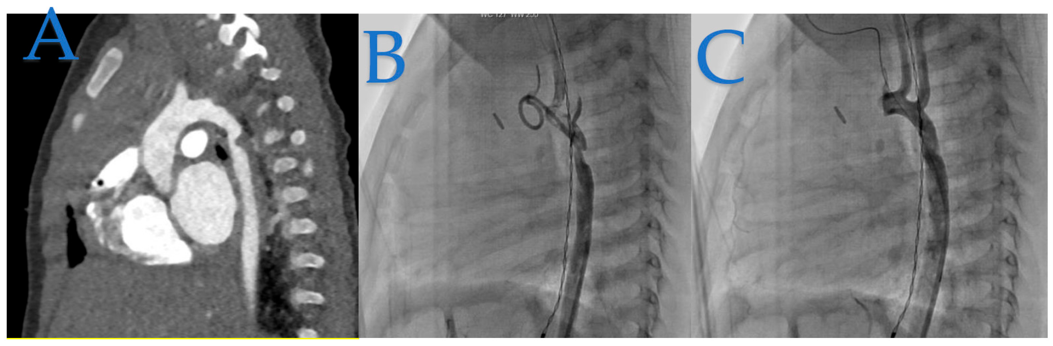 Preprints 88119 g002