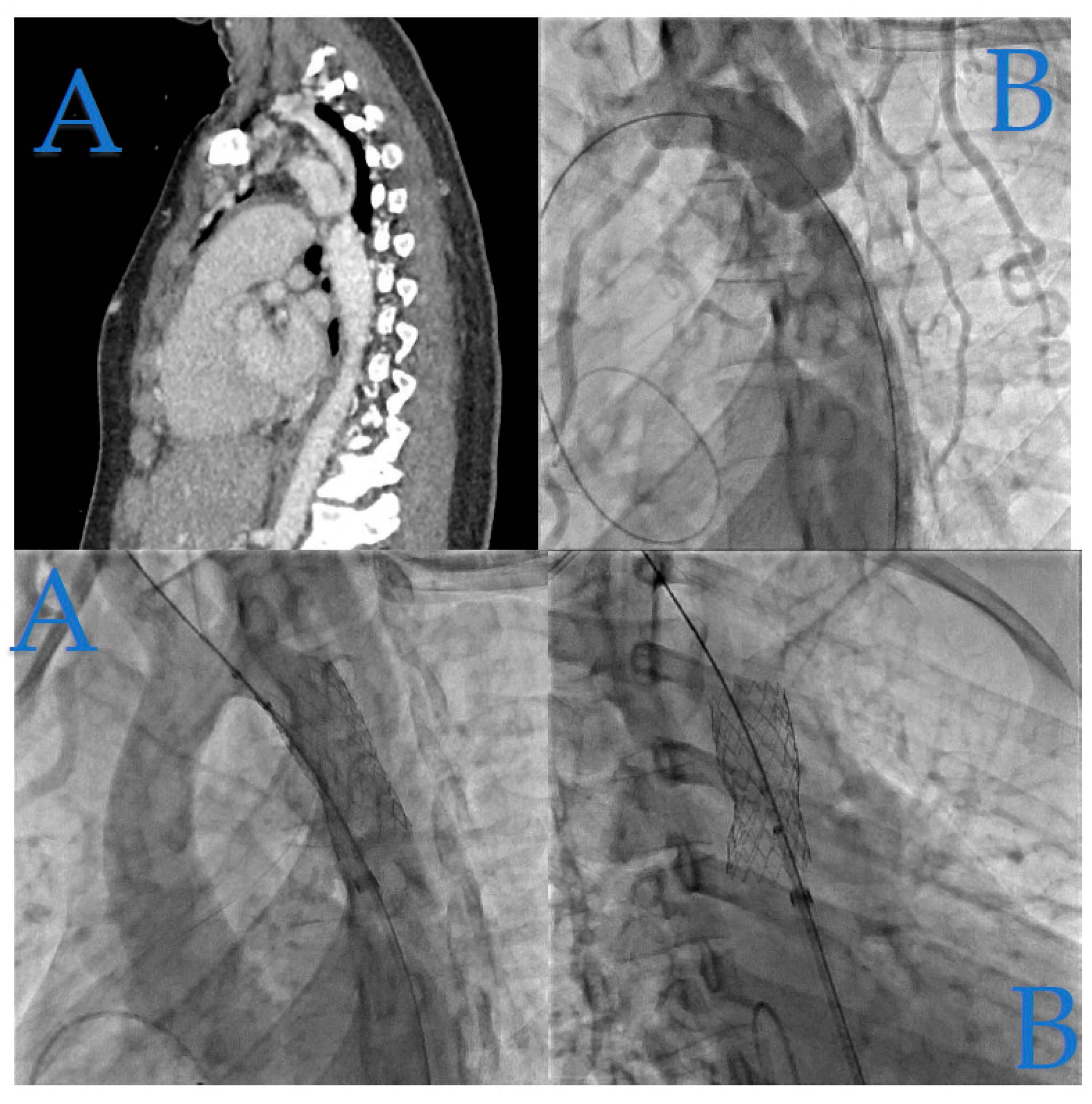 Preprints 88119 g003