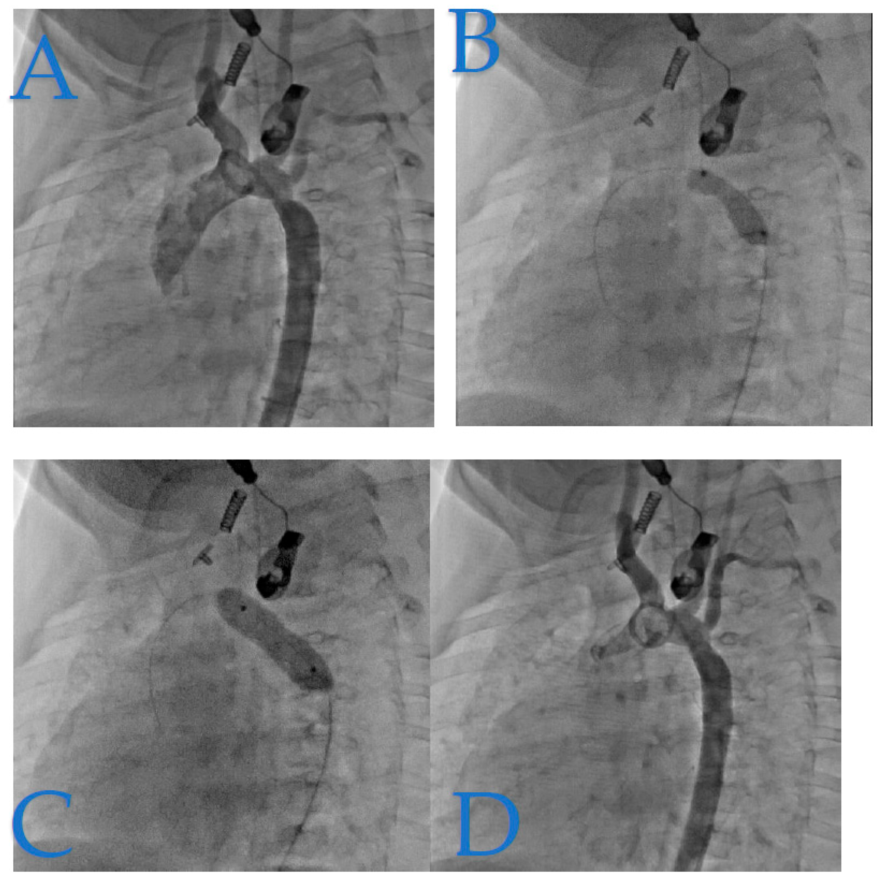 Preprints 88119 g004