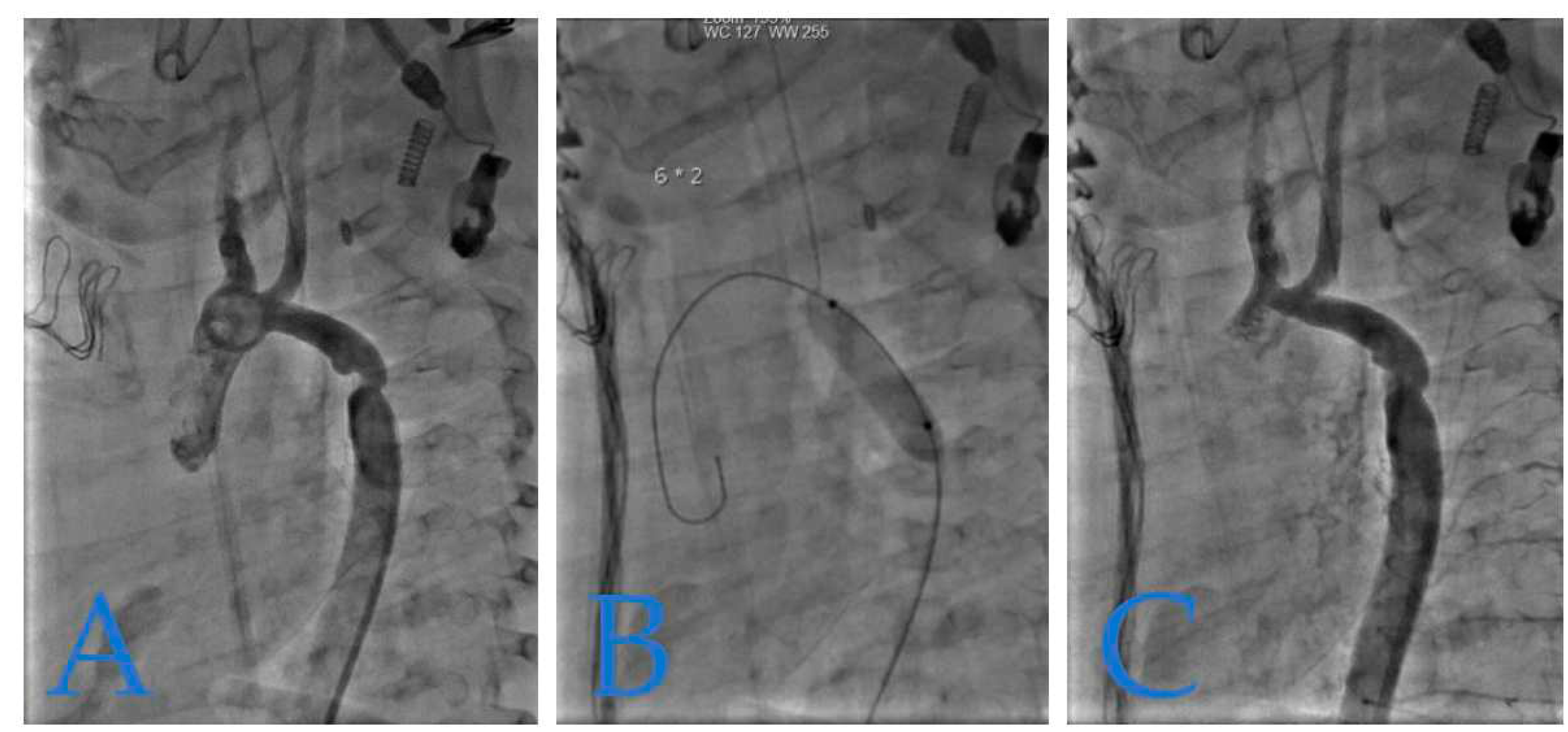 Preprints 88119 g005