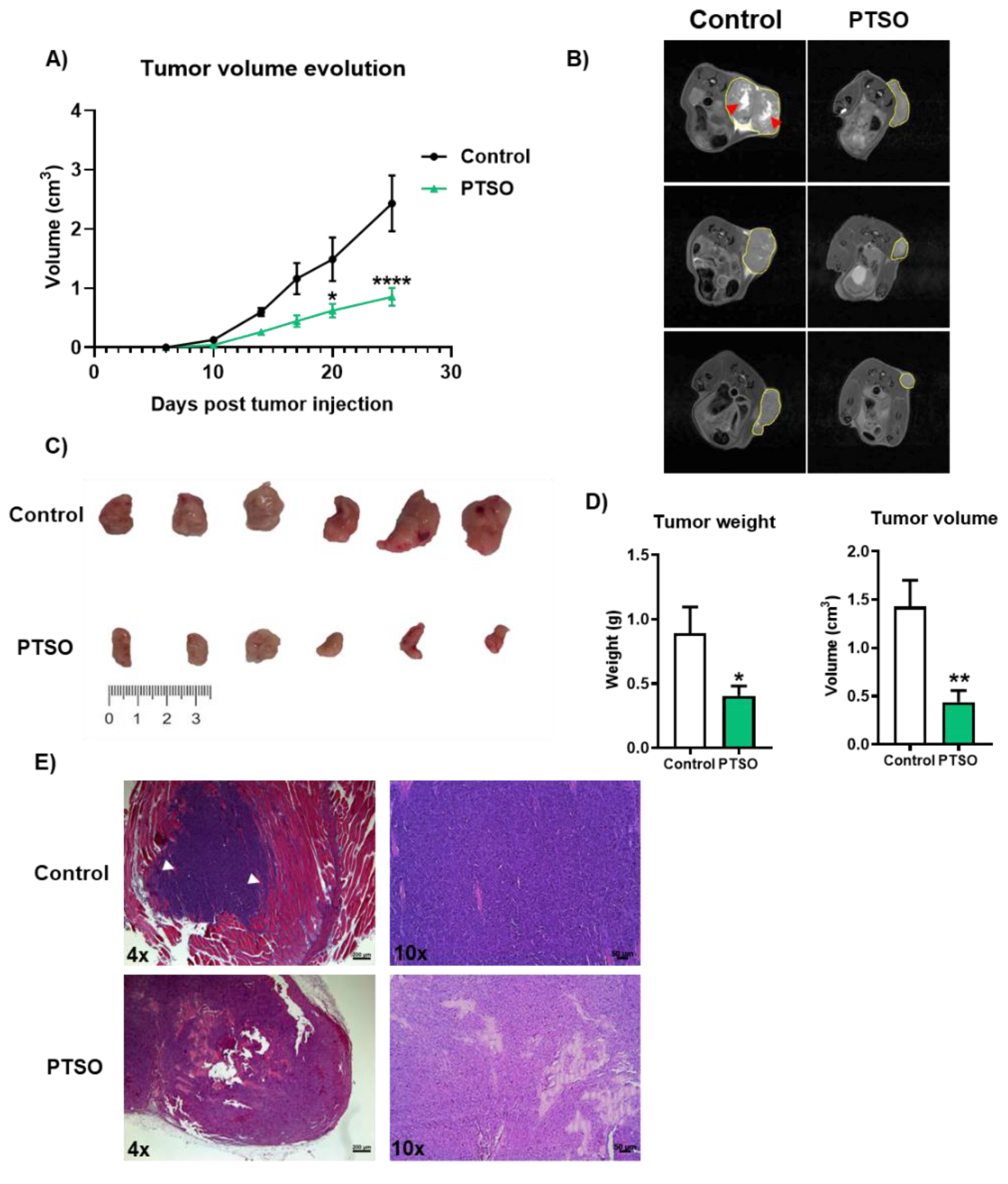 Preprints 174326 g003
