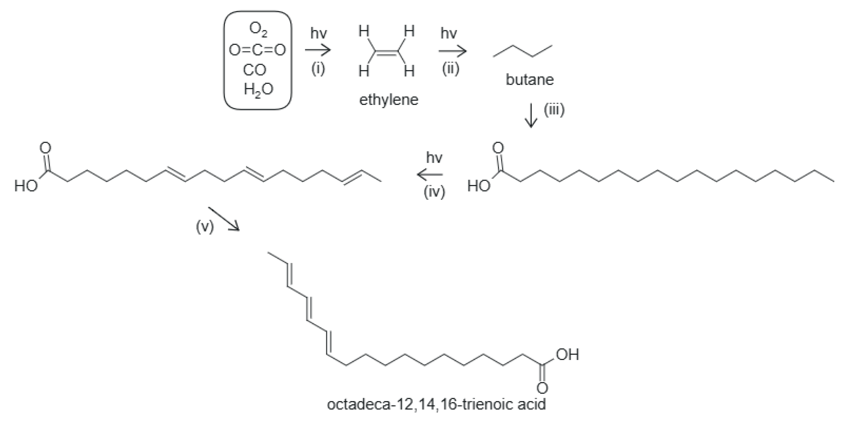 Preprints 198315 g005