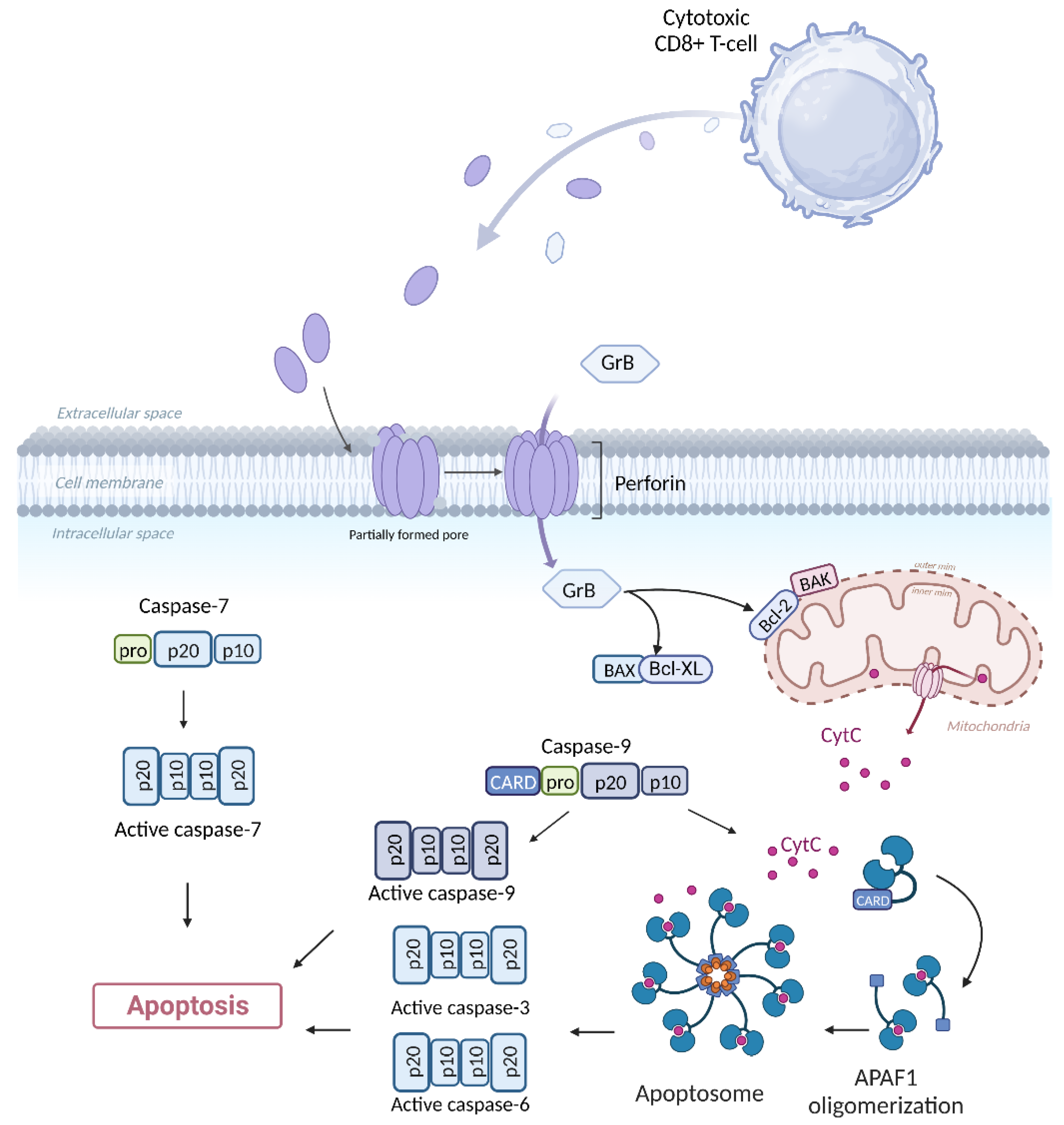 Preprints 142890 g002