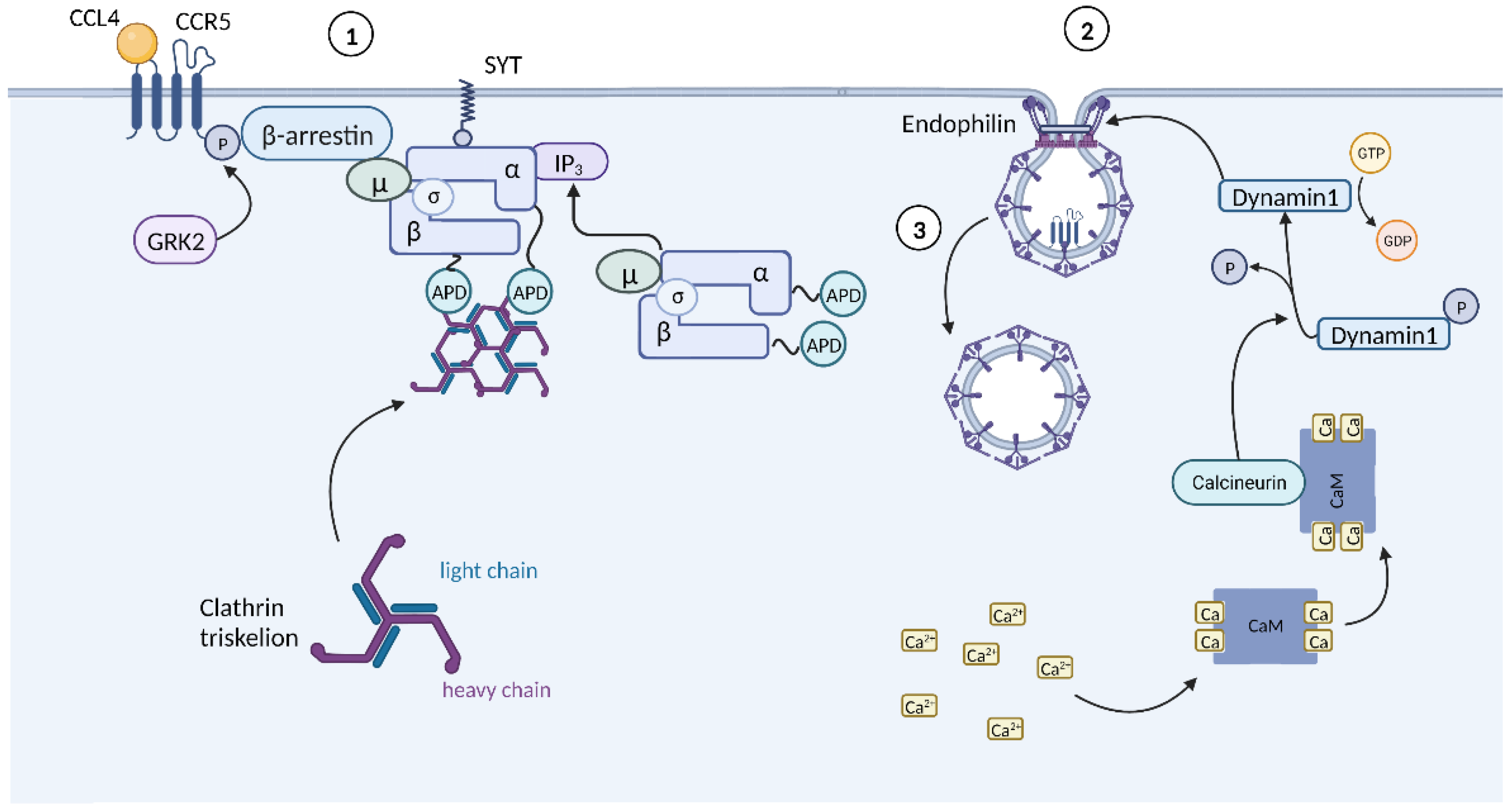 Preprints 142890 g003