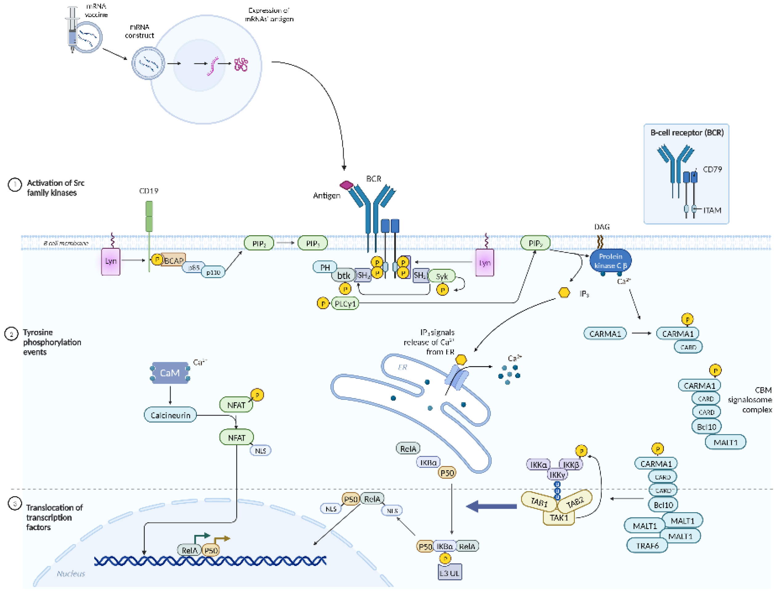 Preprints 142890 g004