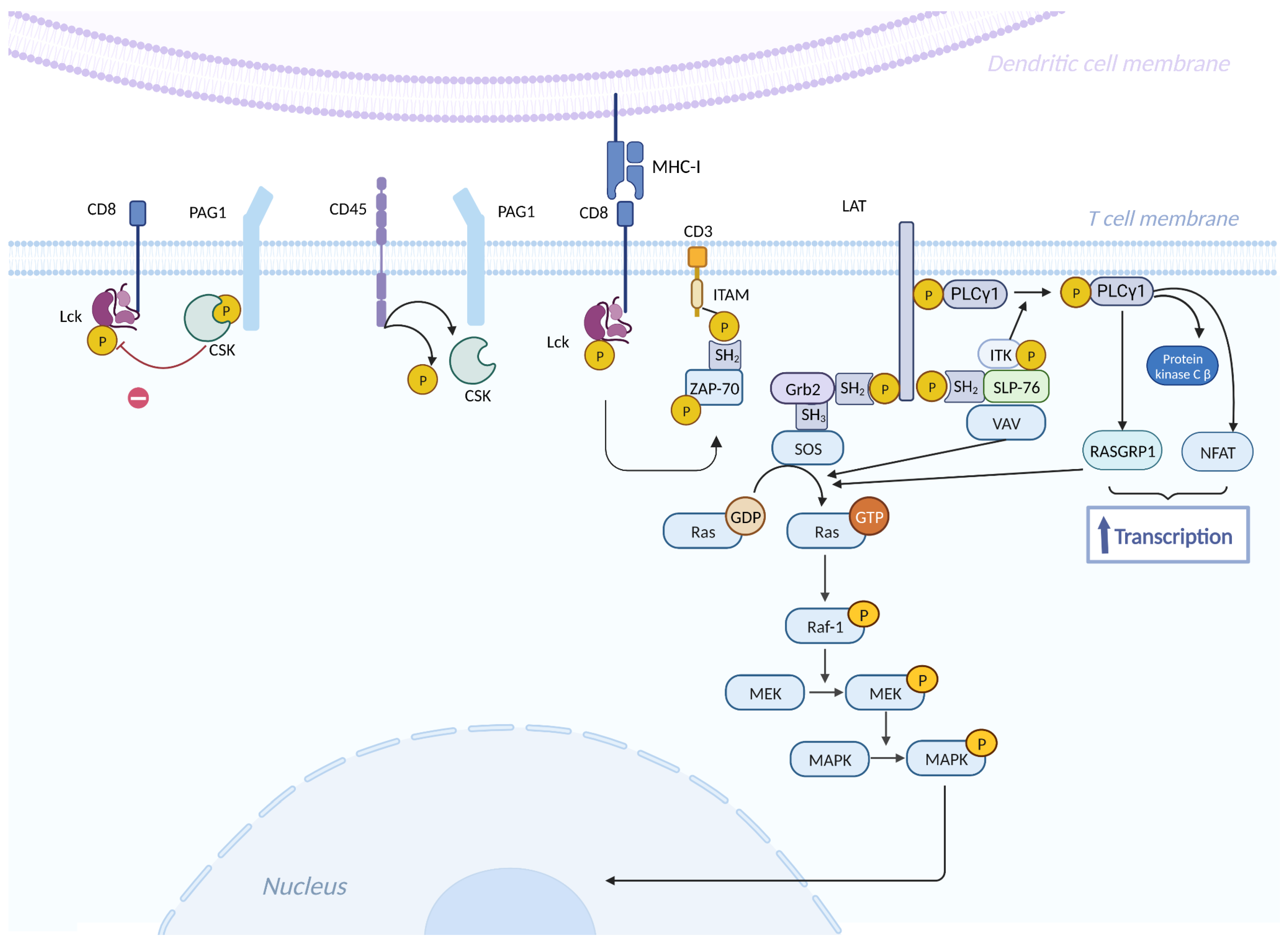 Preprints 142890 g005