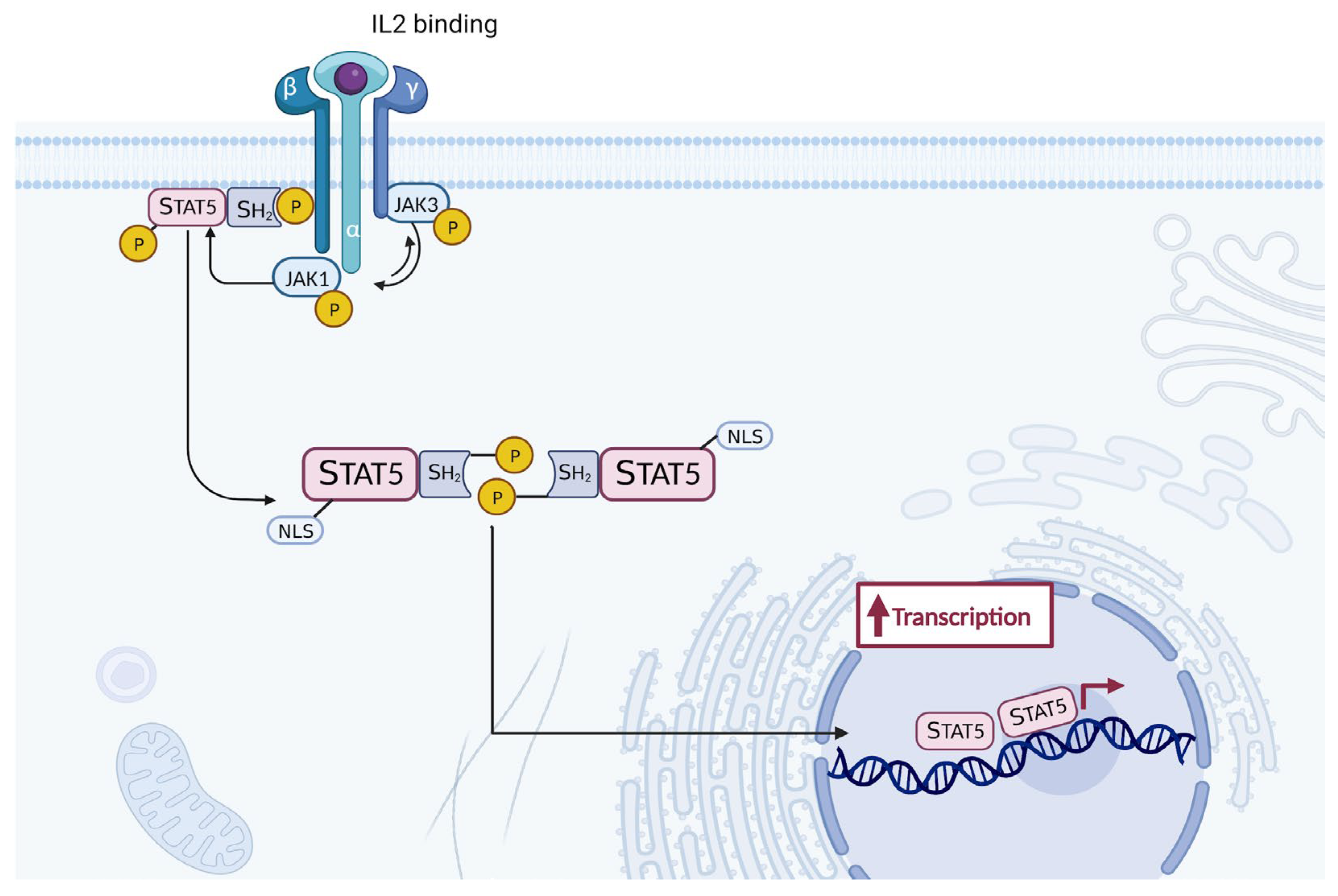 Preprints 142890 g006