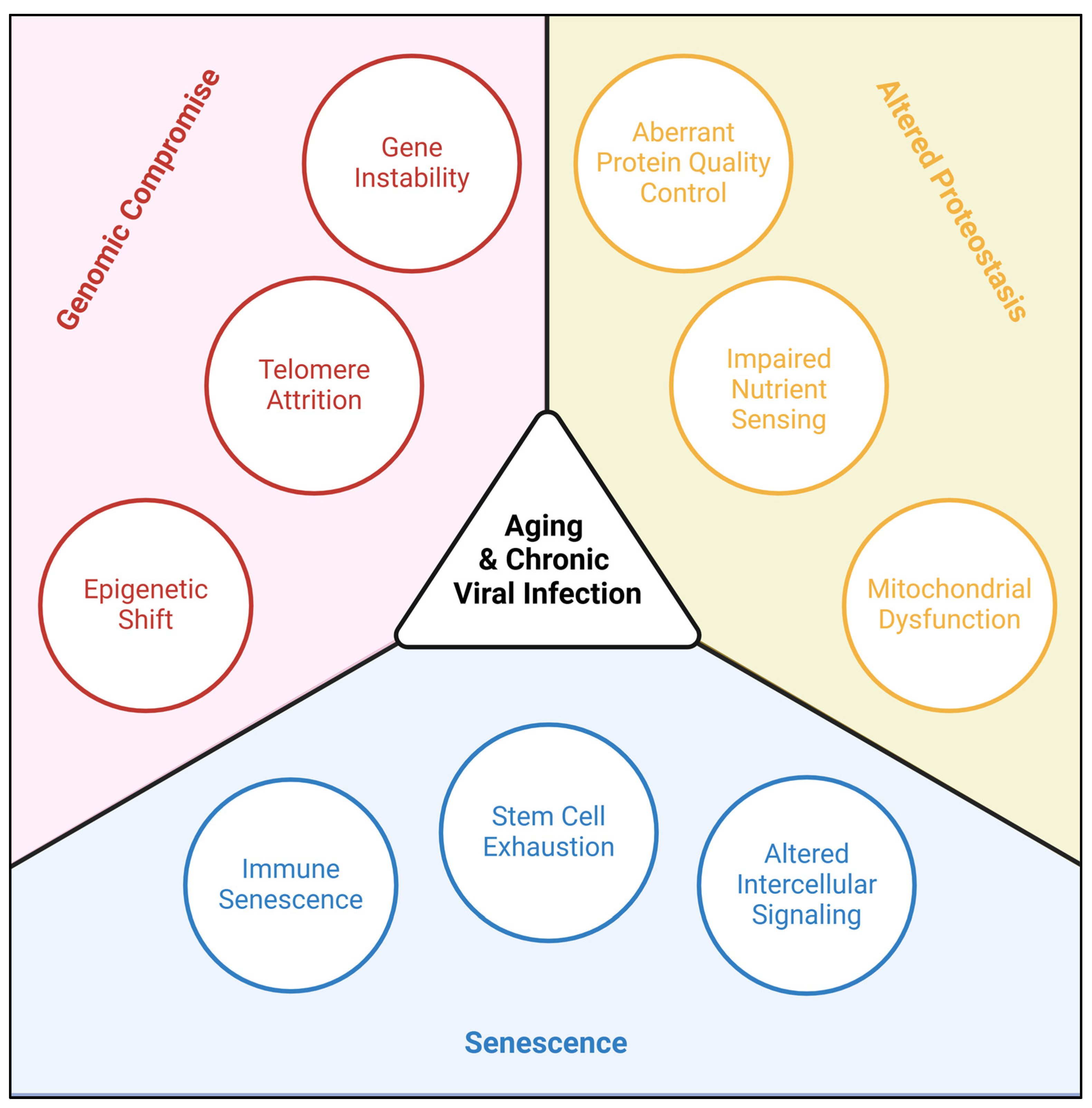 Preprints 150684 g001