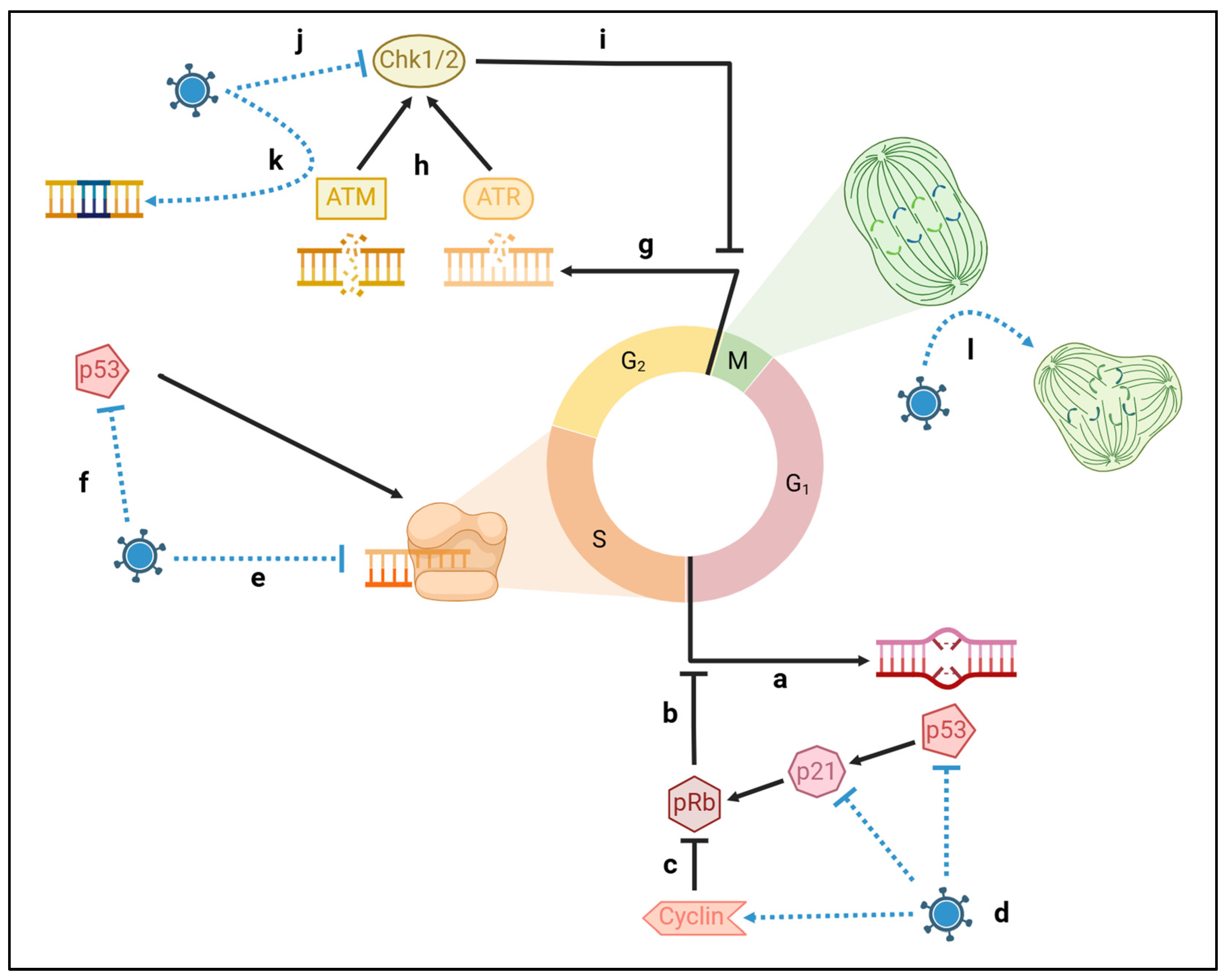 Preprints 150684 g003