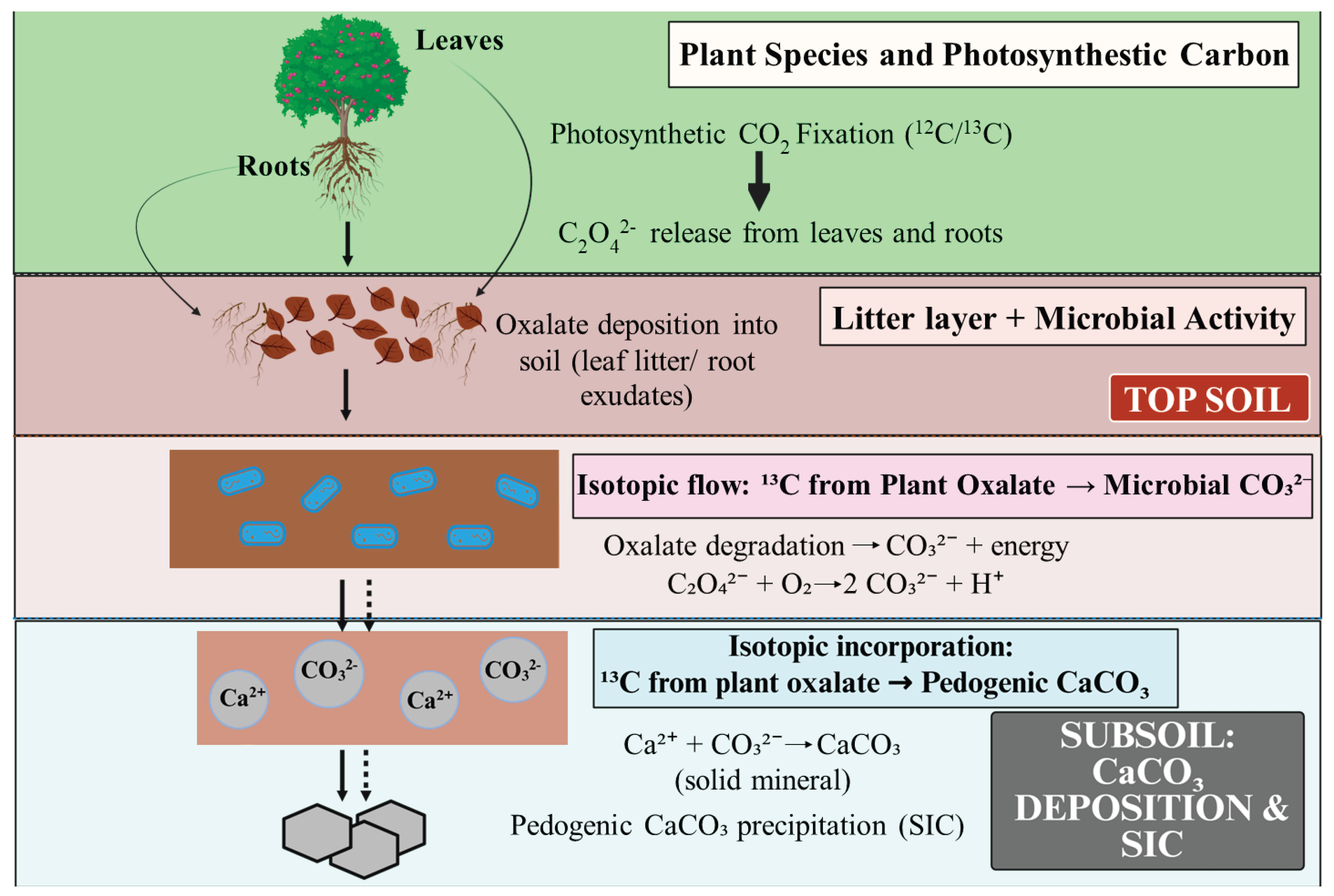 Preprints 181313 g001