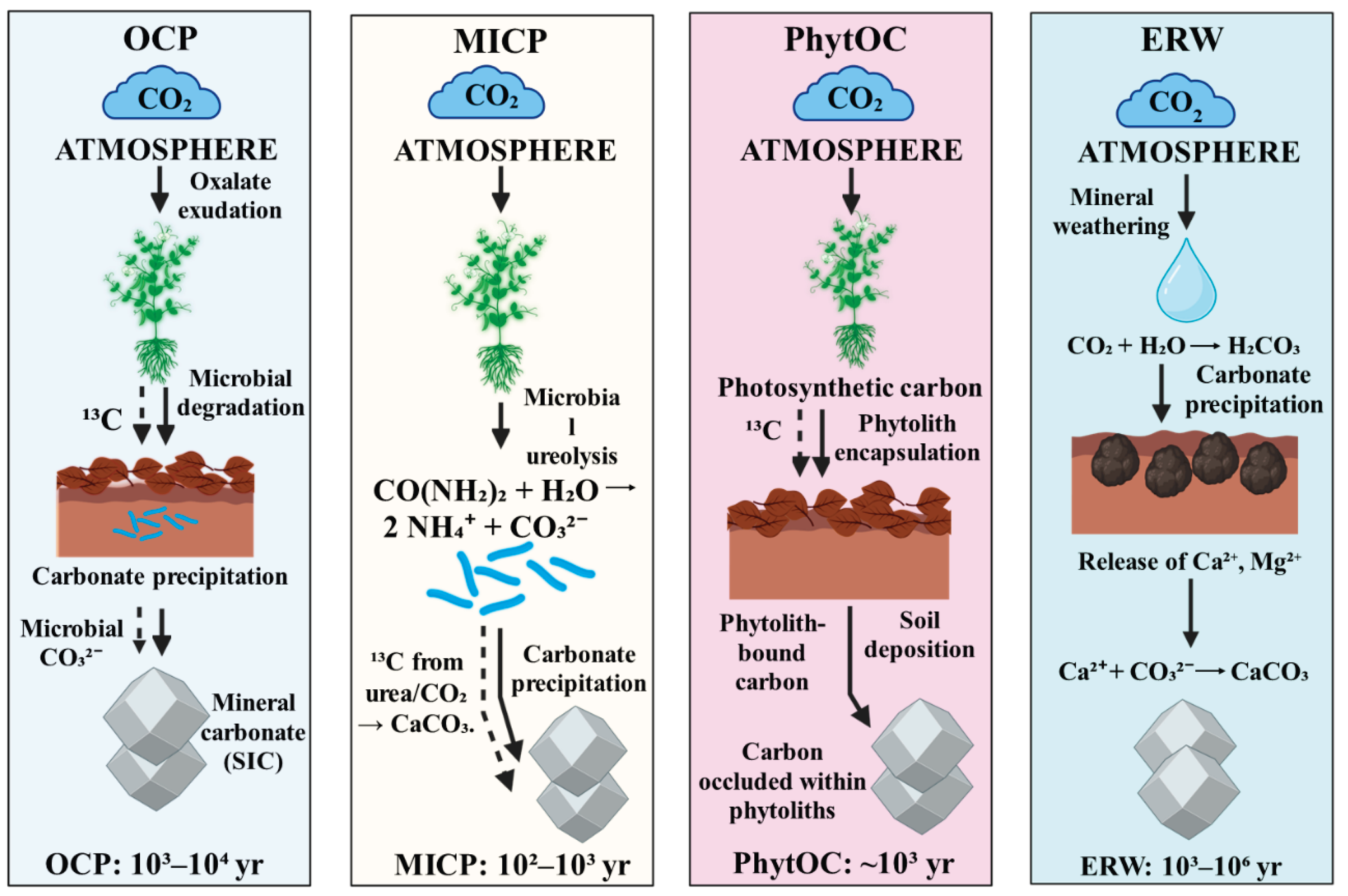 Preprints 181313 g002