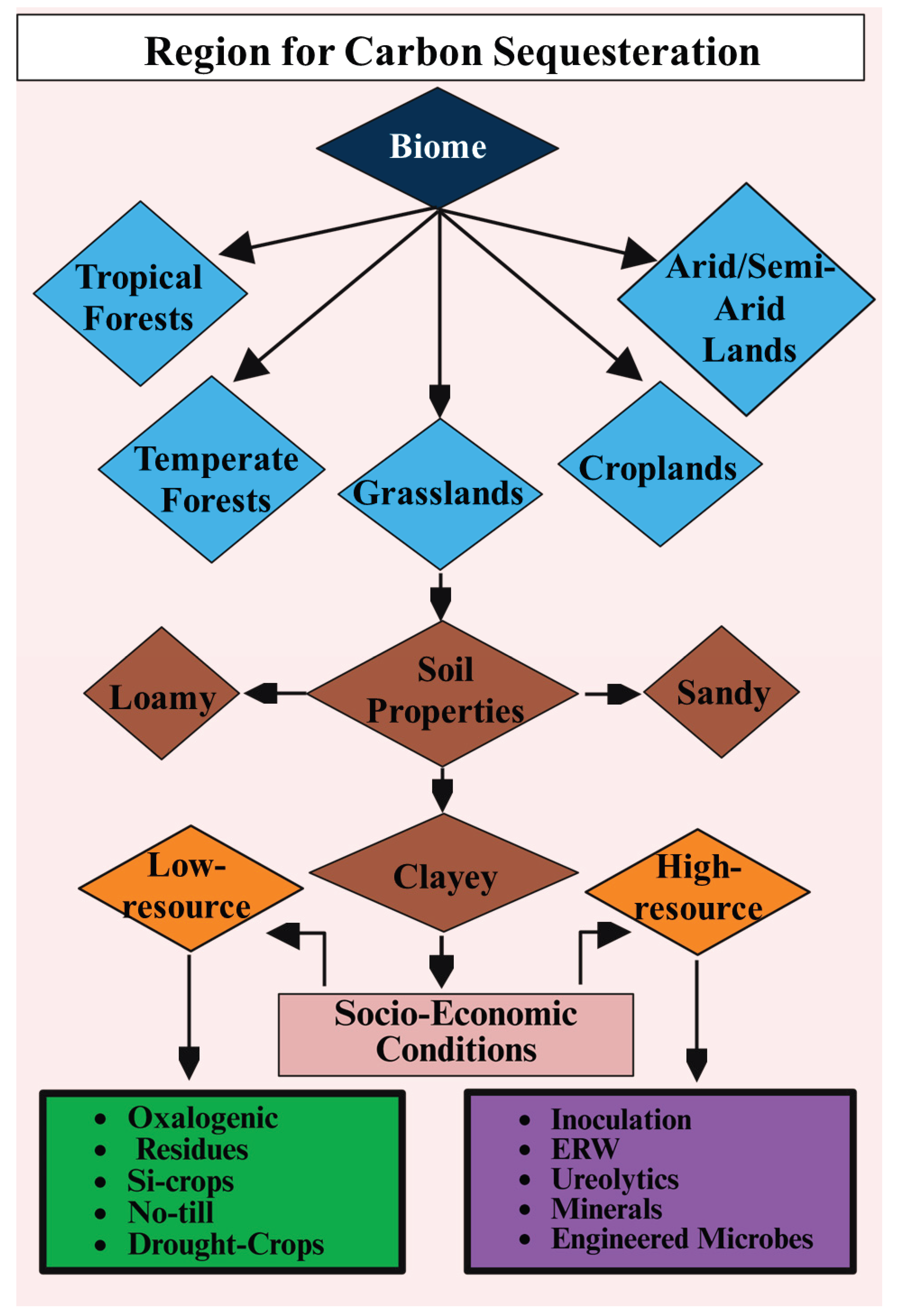 Preprints 181313 g003