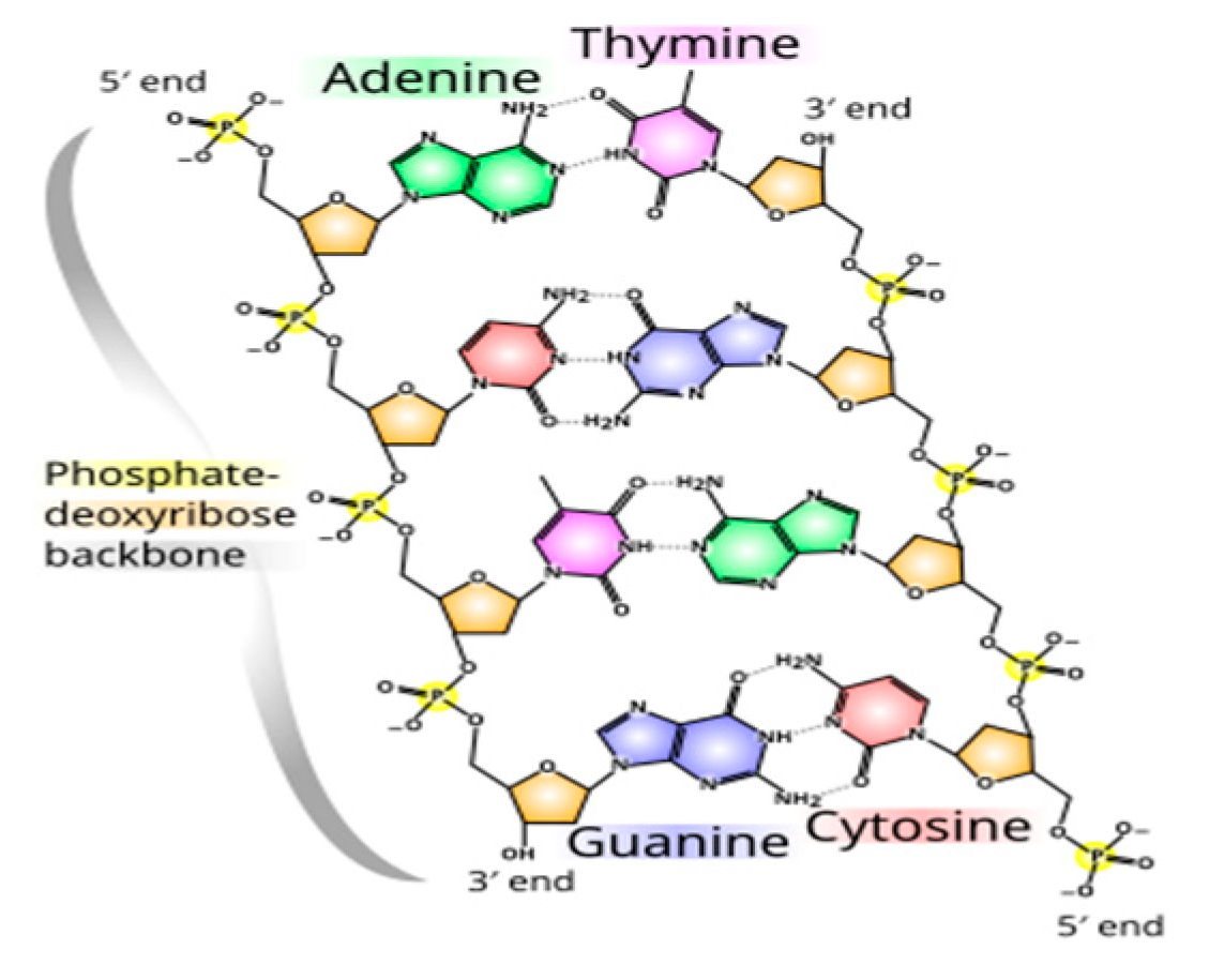 Preprints 151921 g001