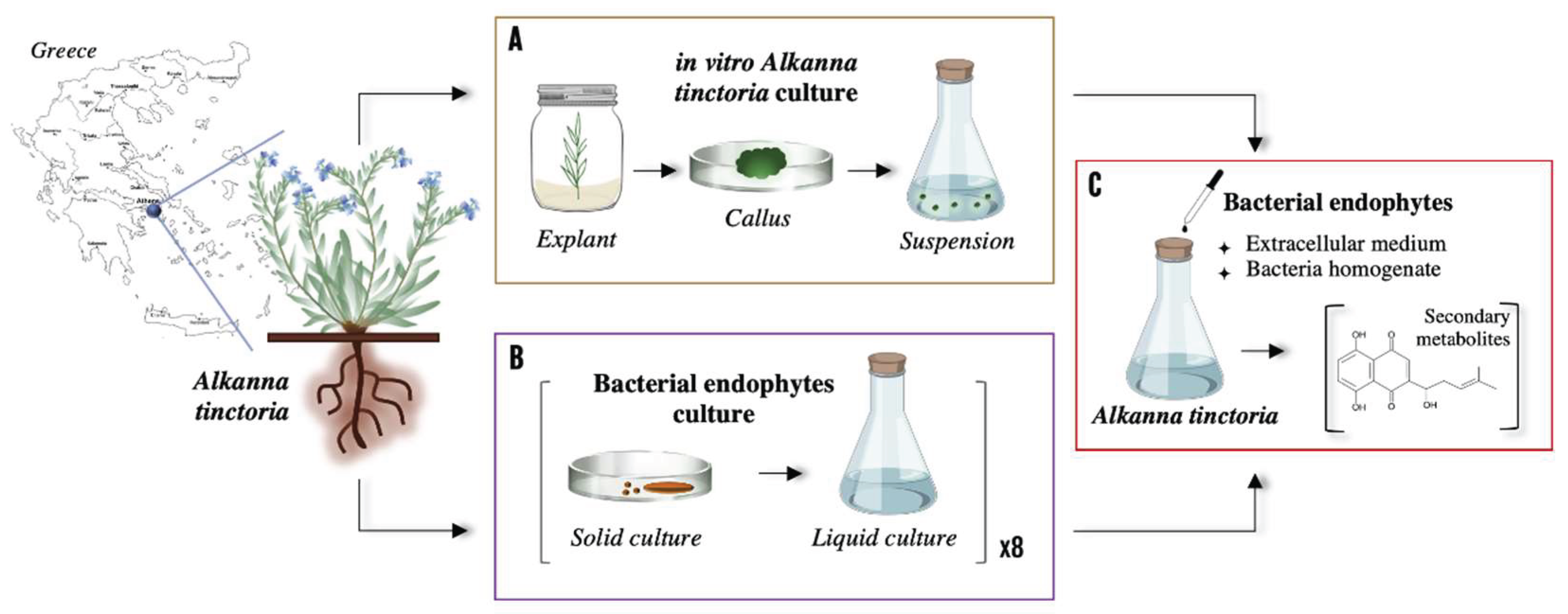 Preprints 161479 g001