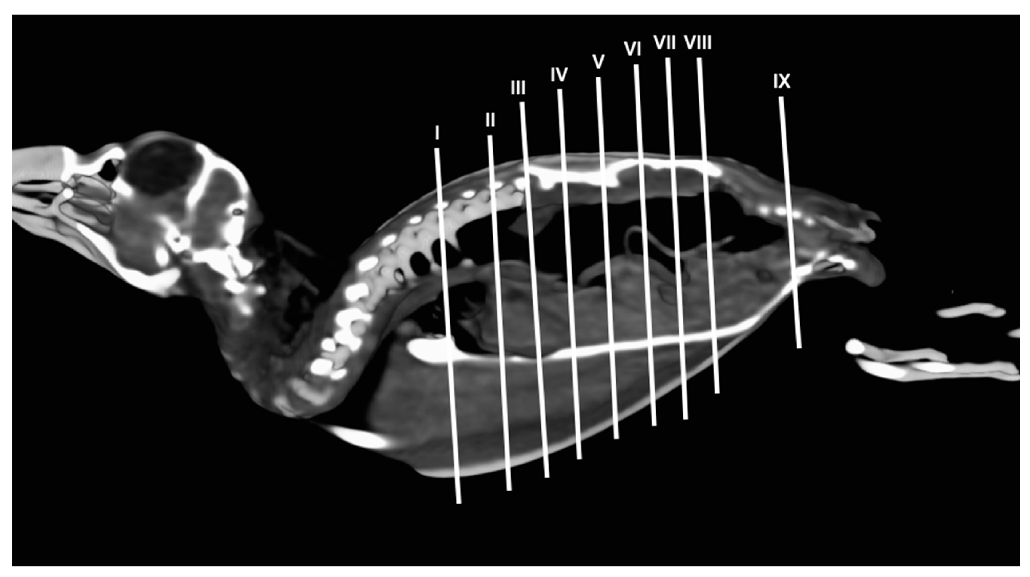 Preprints 82222 g002