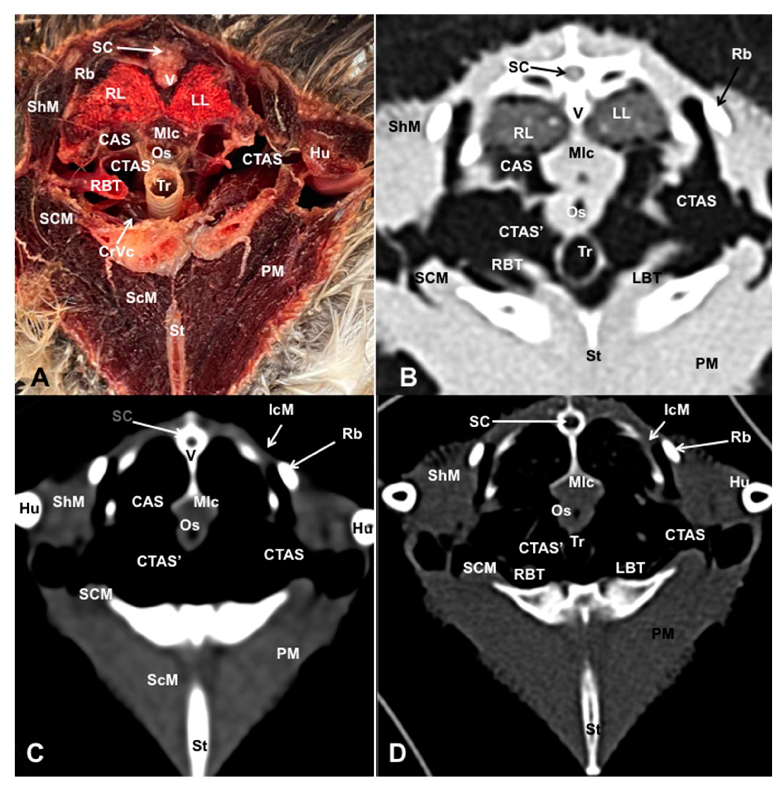 Preprints 82222 g003