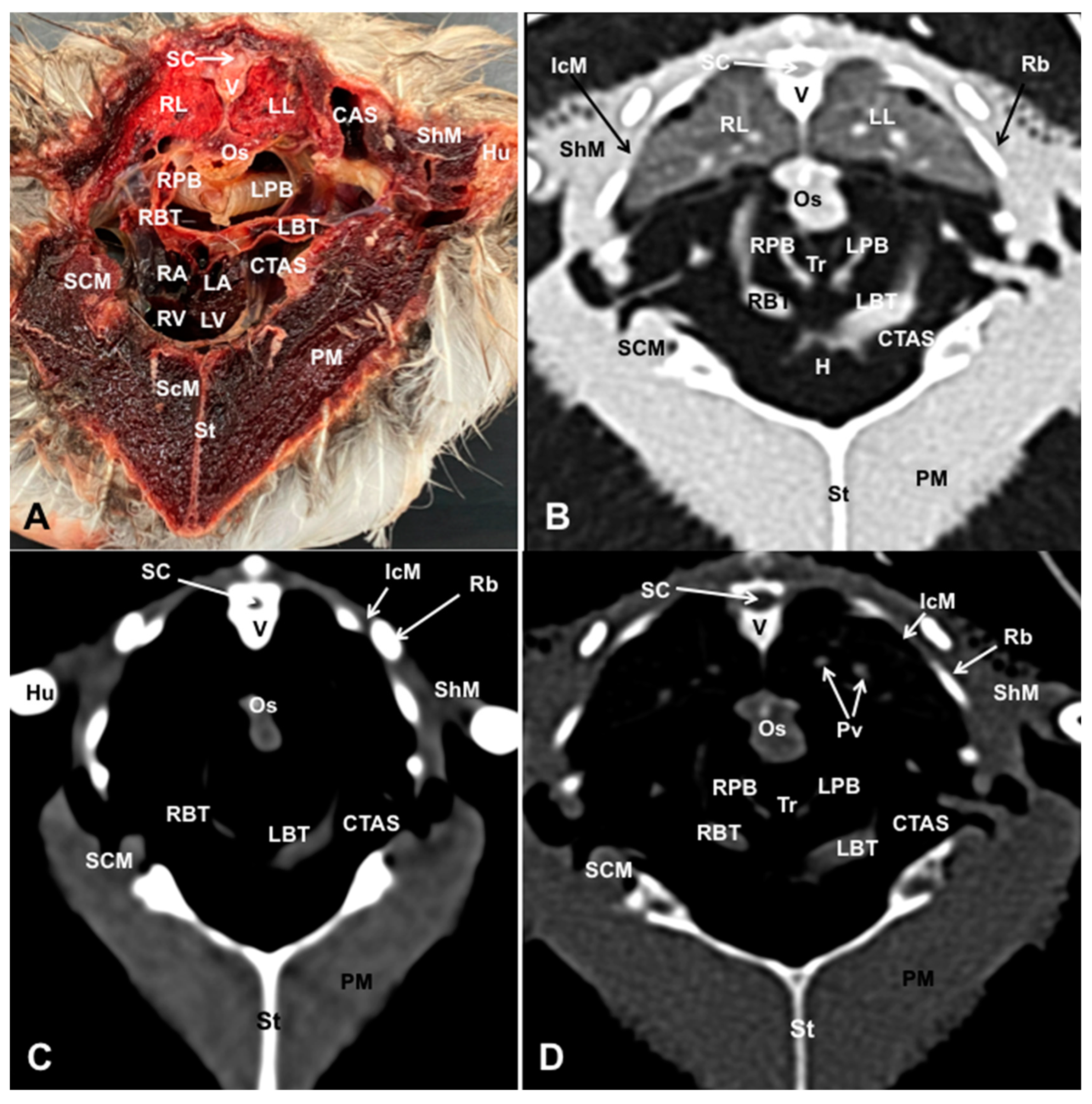 Preprints 82222 g004