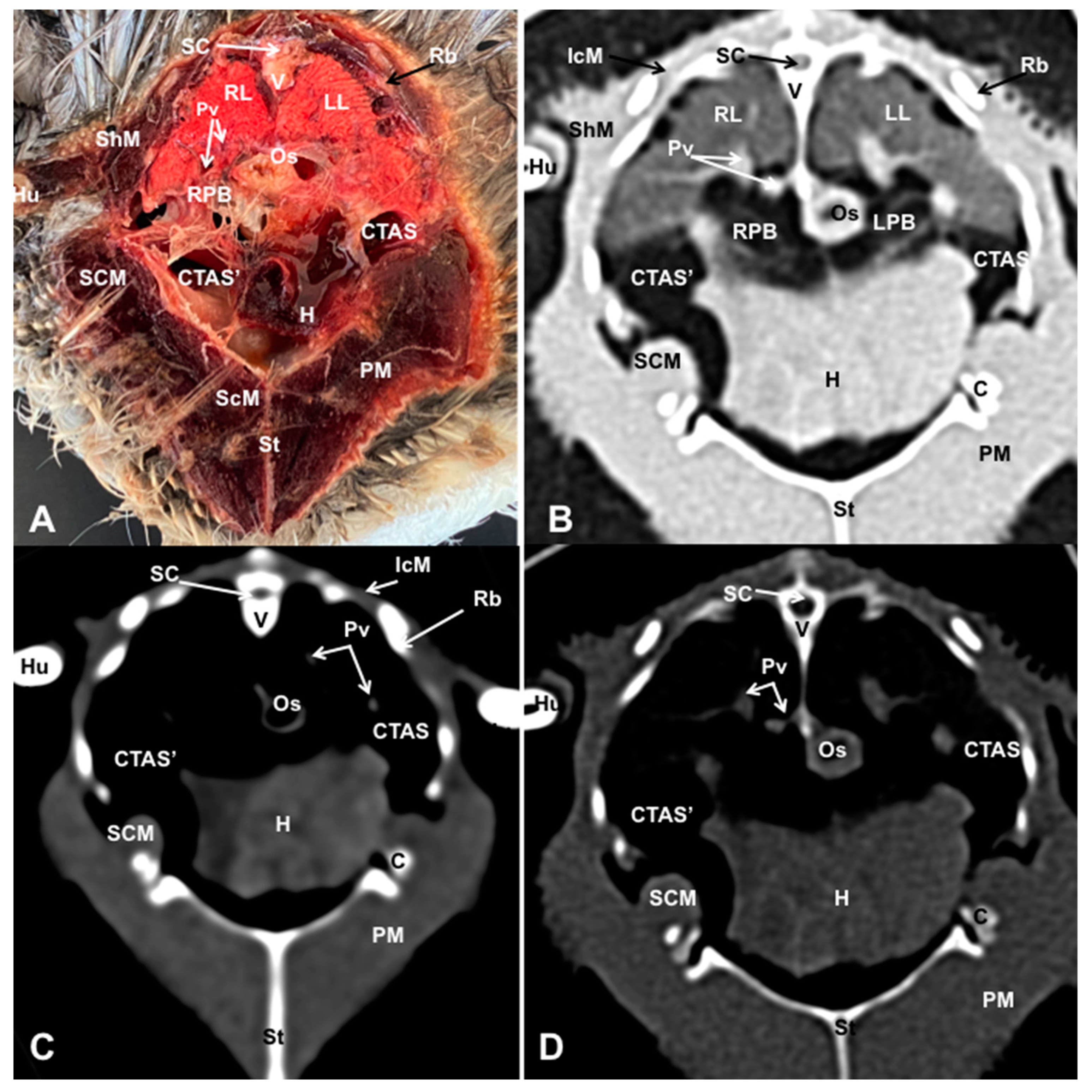 Preprints 82222 g005