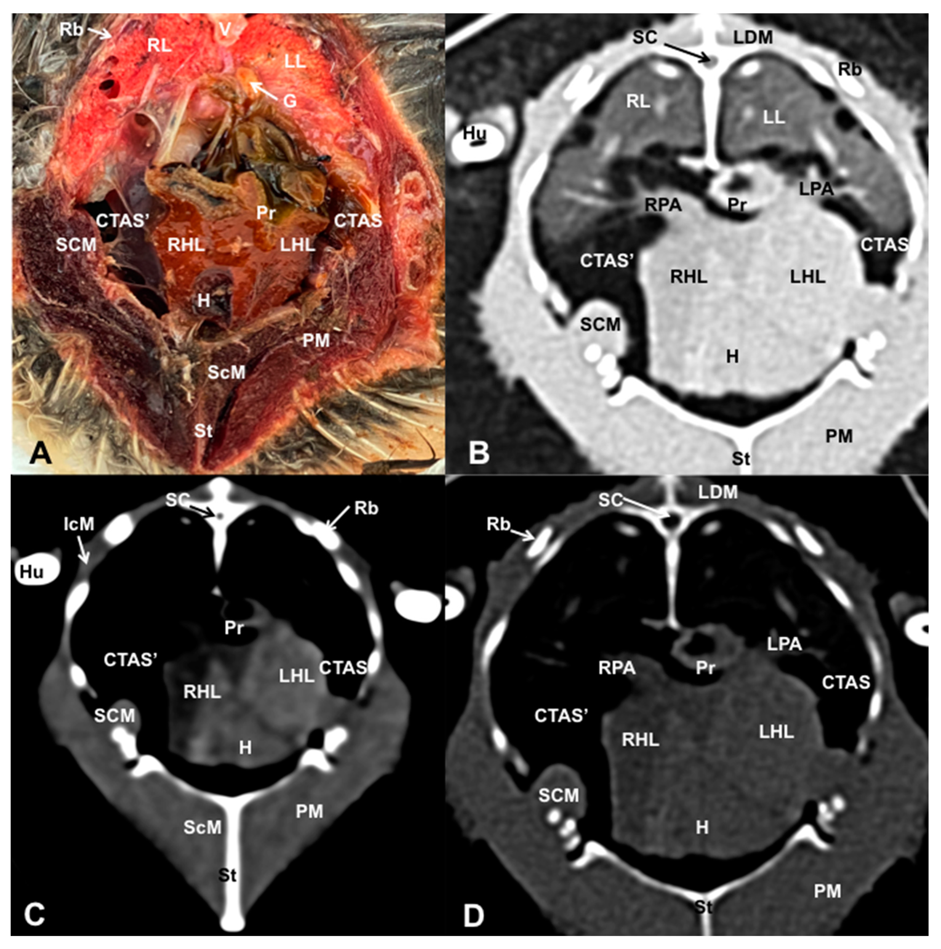 Preprints 82222 g006