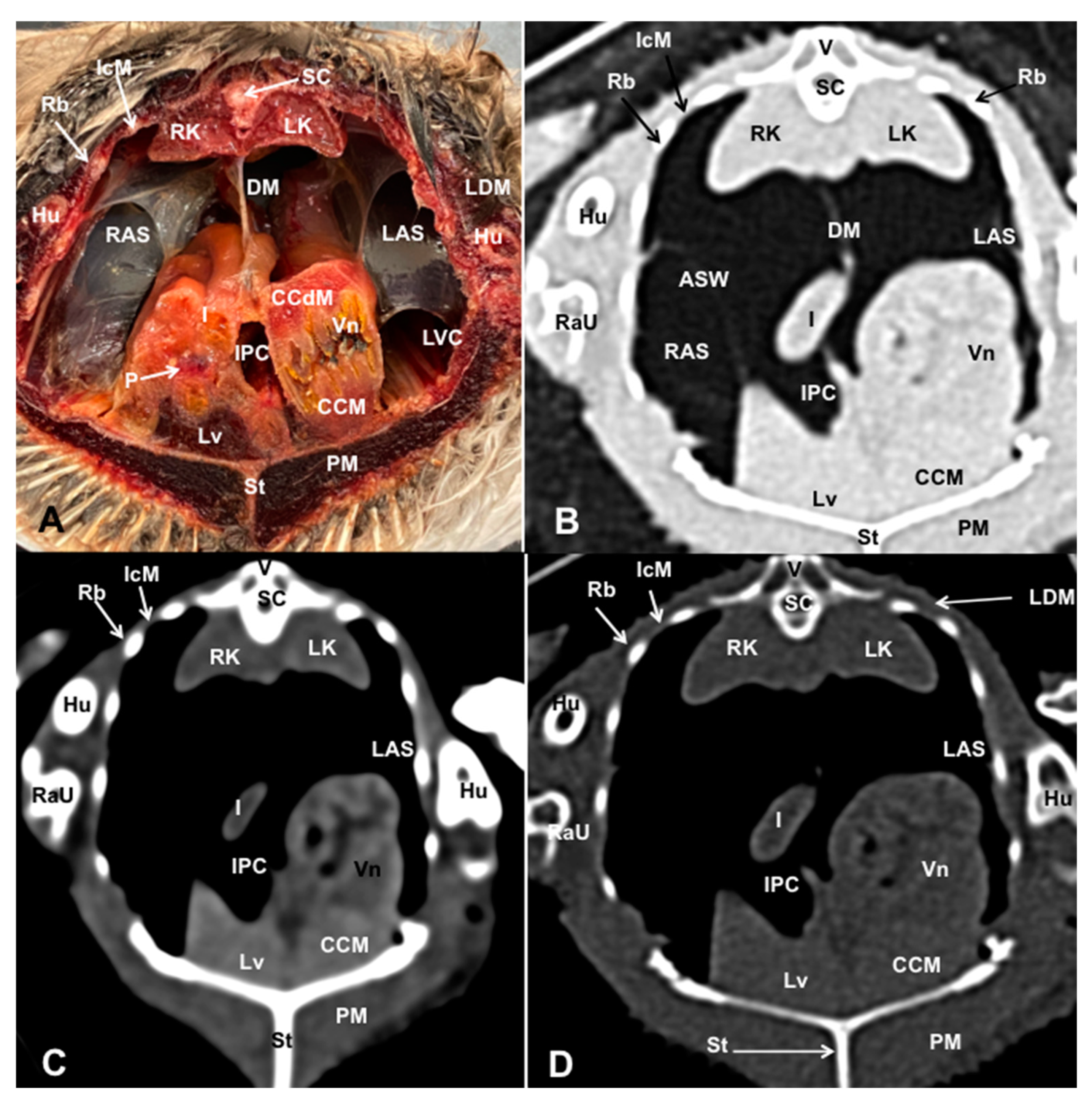 Preprints 82222 g008
