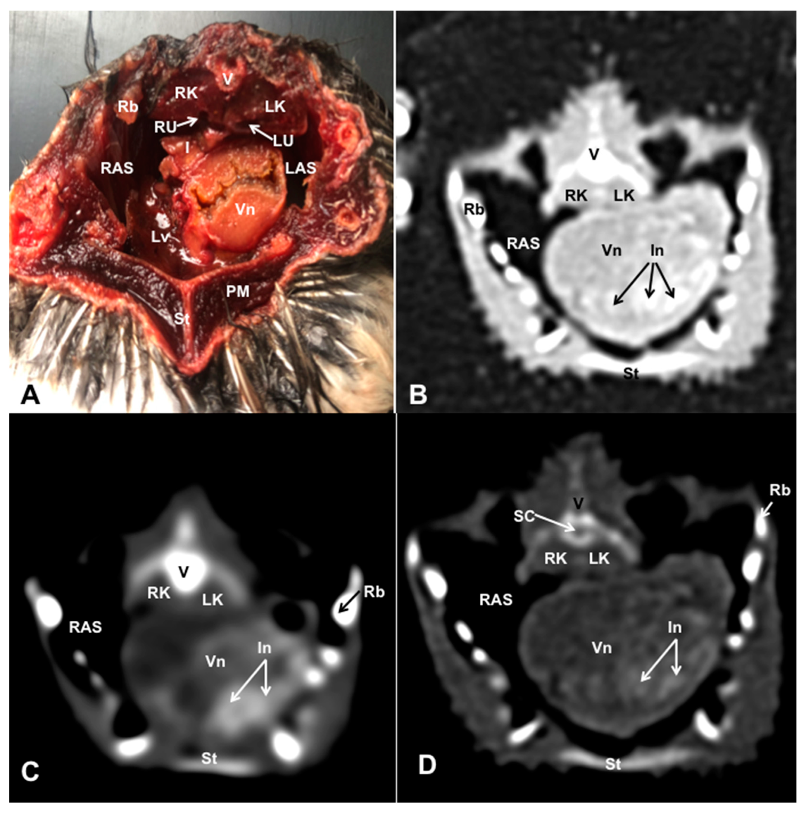 Preprints 82222 g009