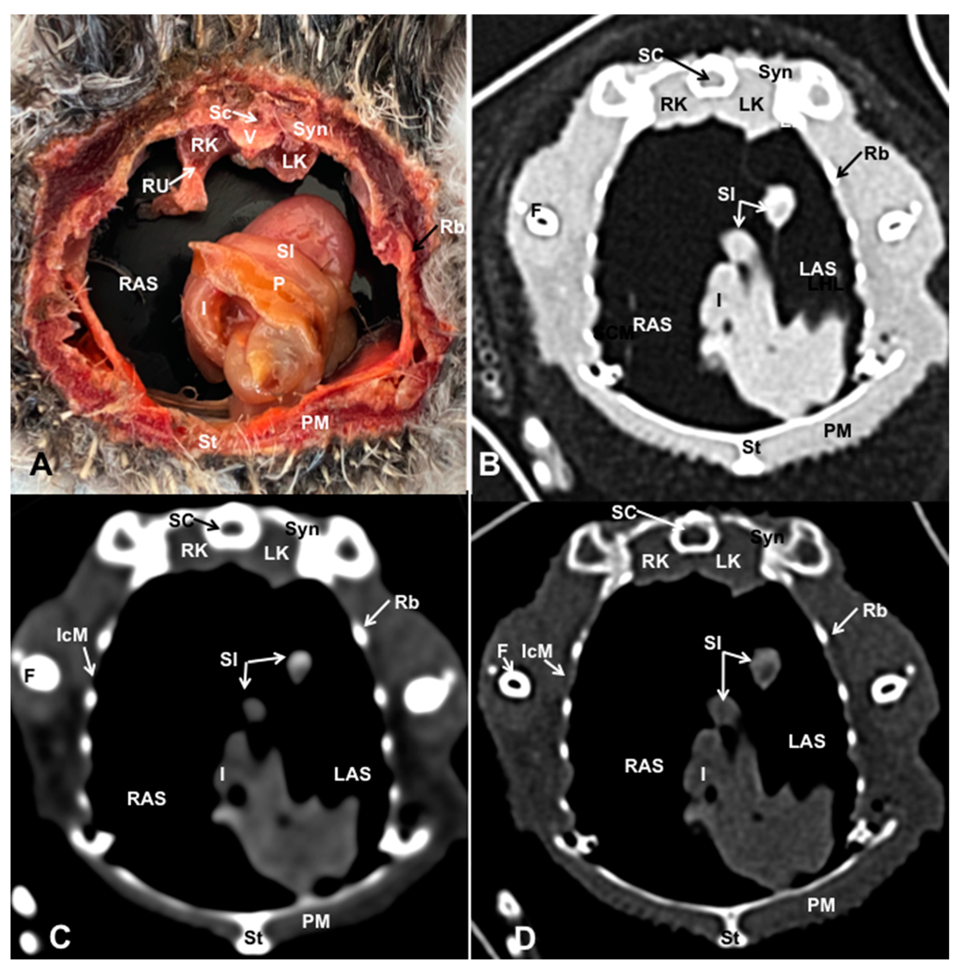 Preprints 82222 g010