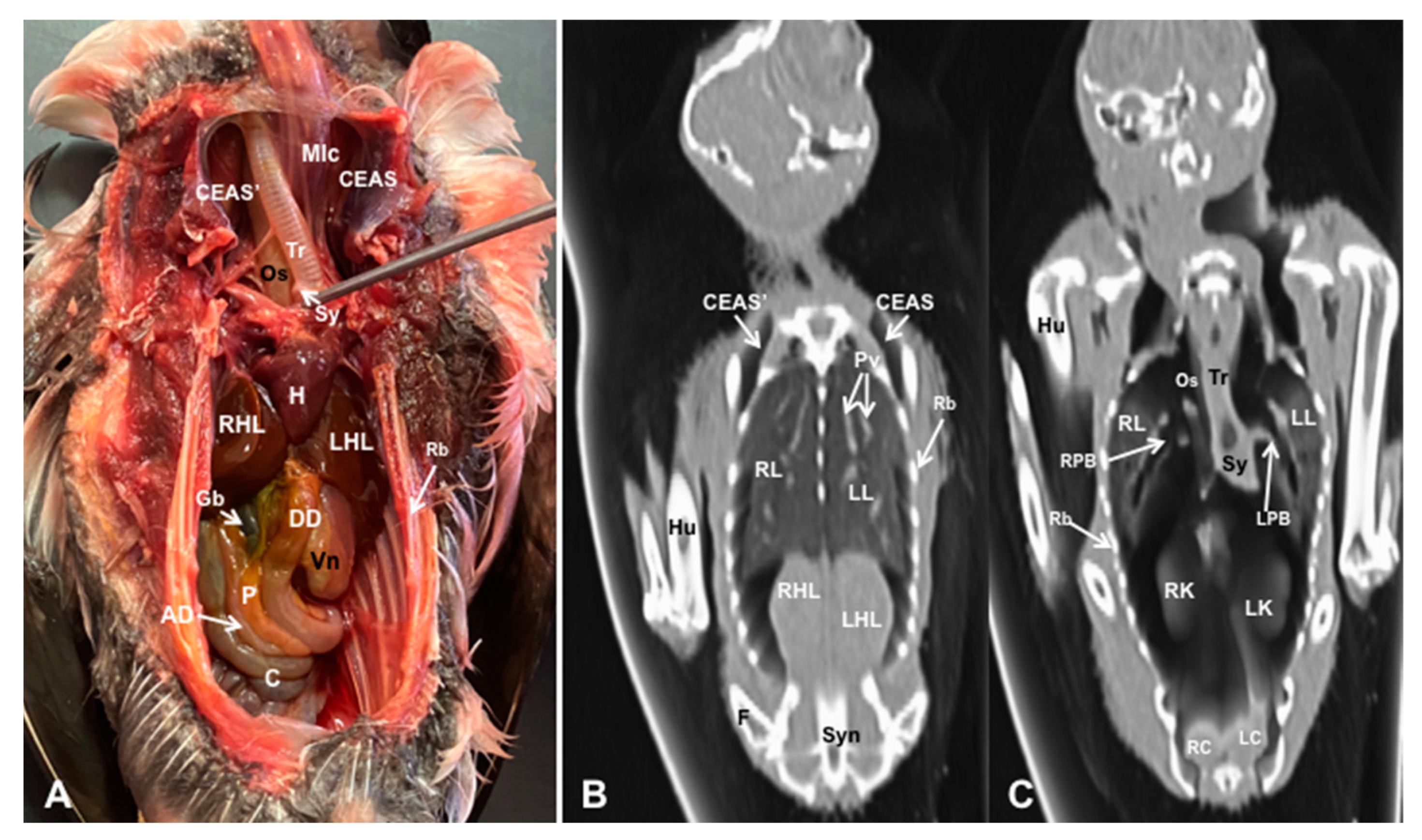 Preprints 82222 g012