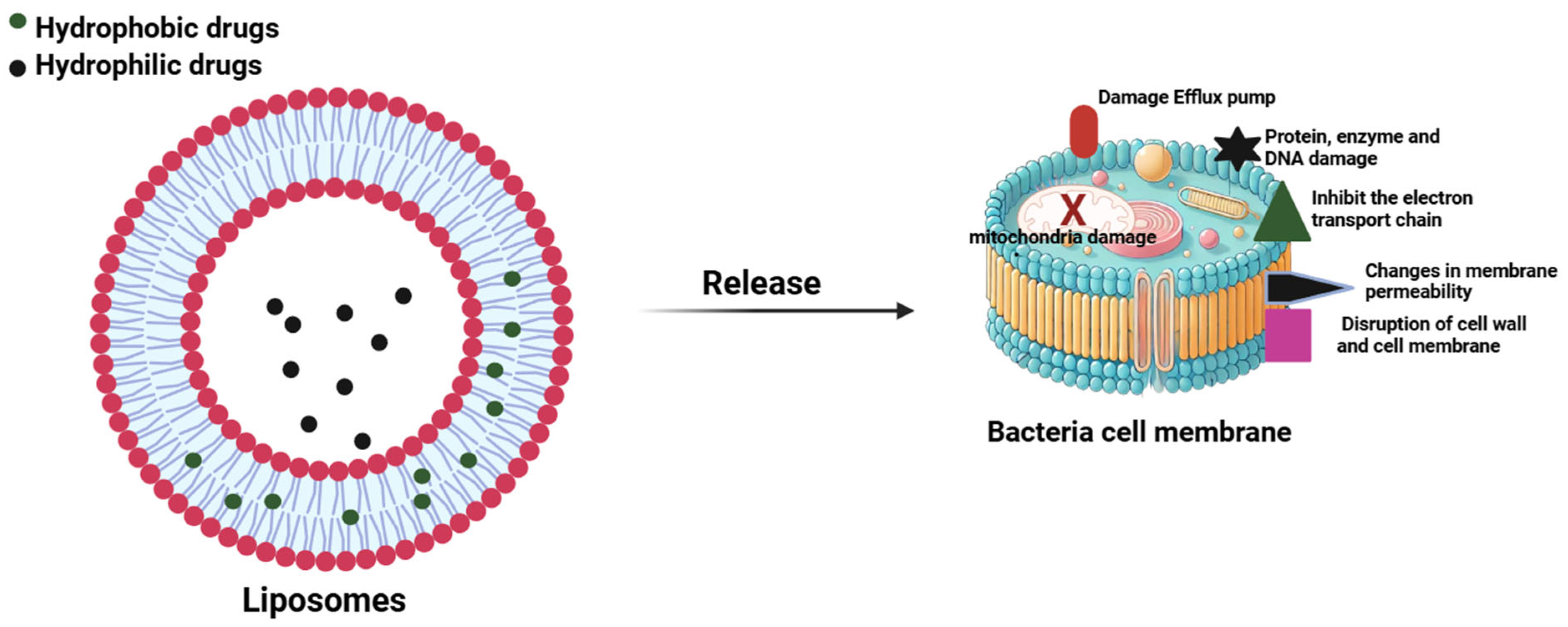 Preprints 158110 g001