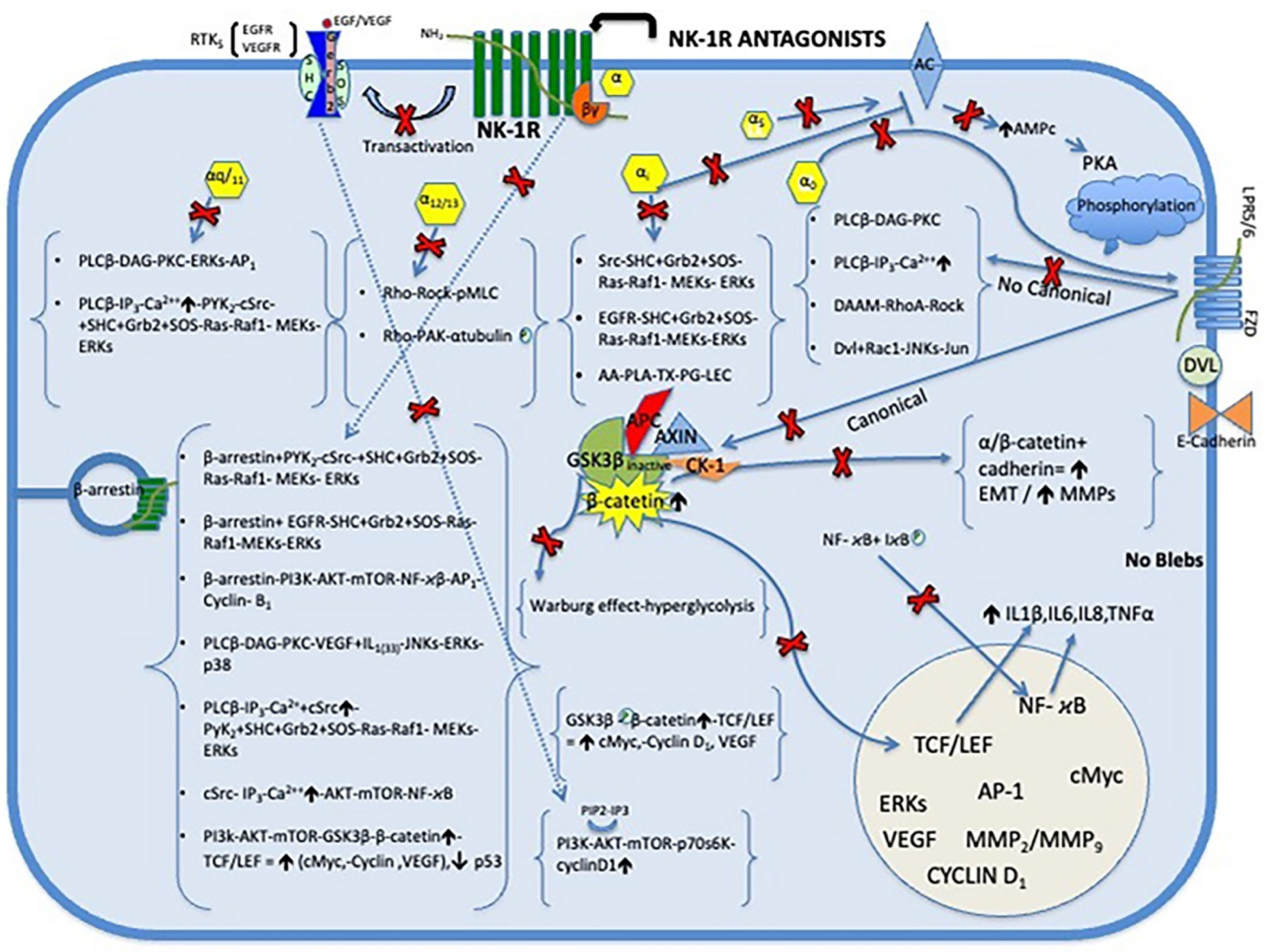 Preprints 144552 g002
