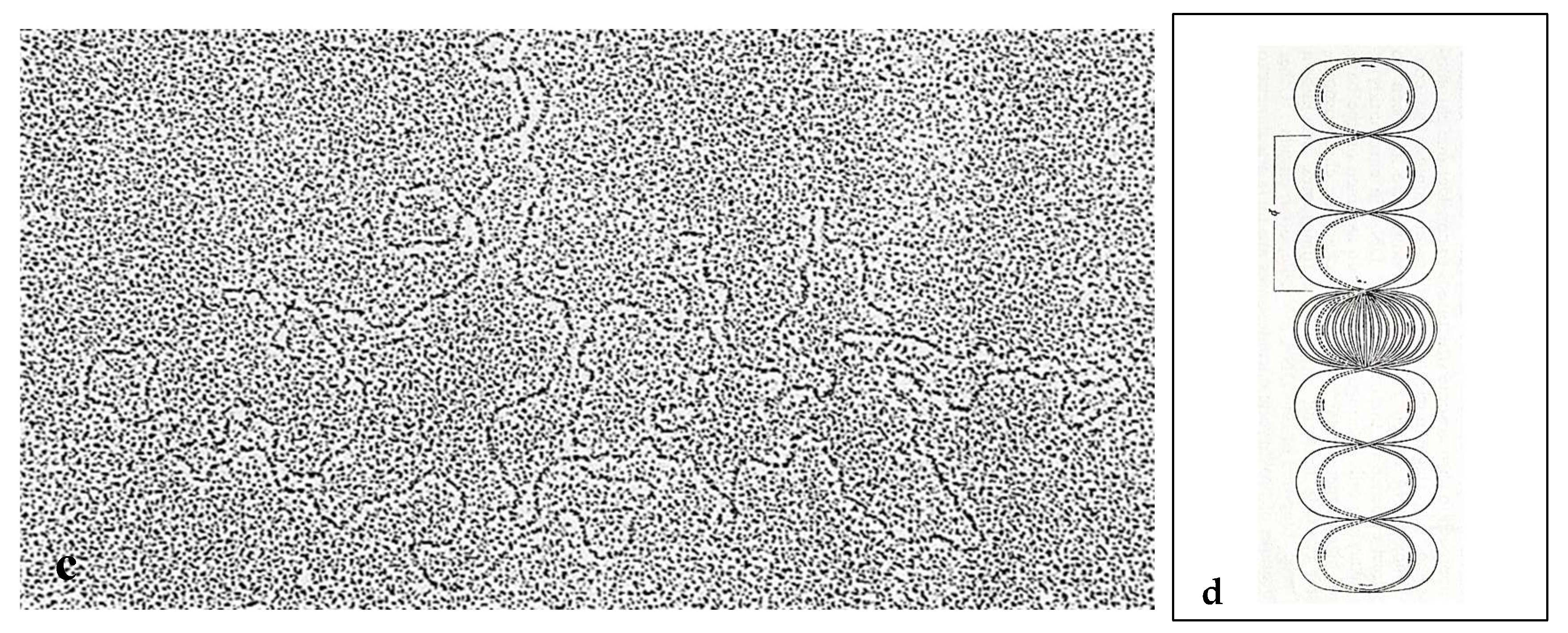 Preprints 153394 g002b