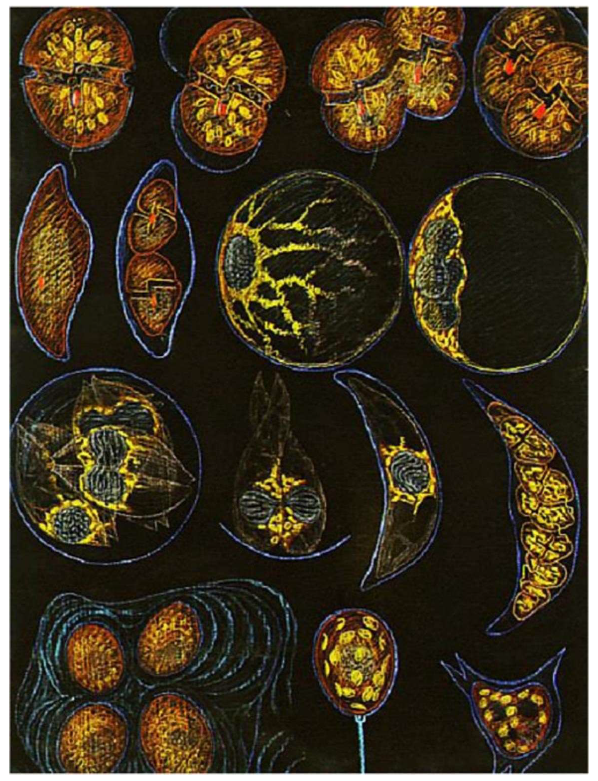 Preprints 153394 g013
