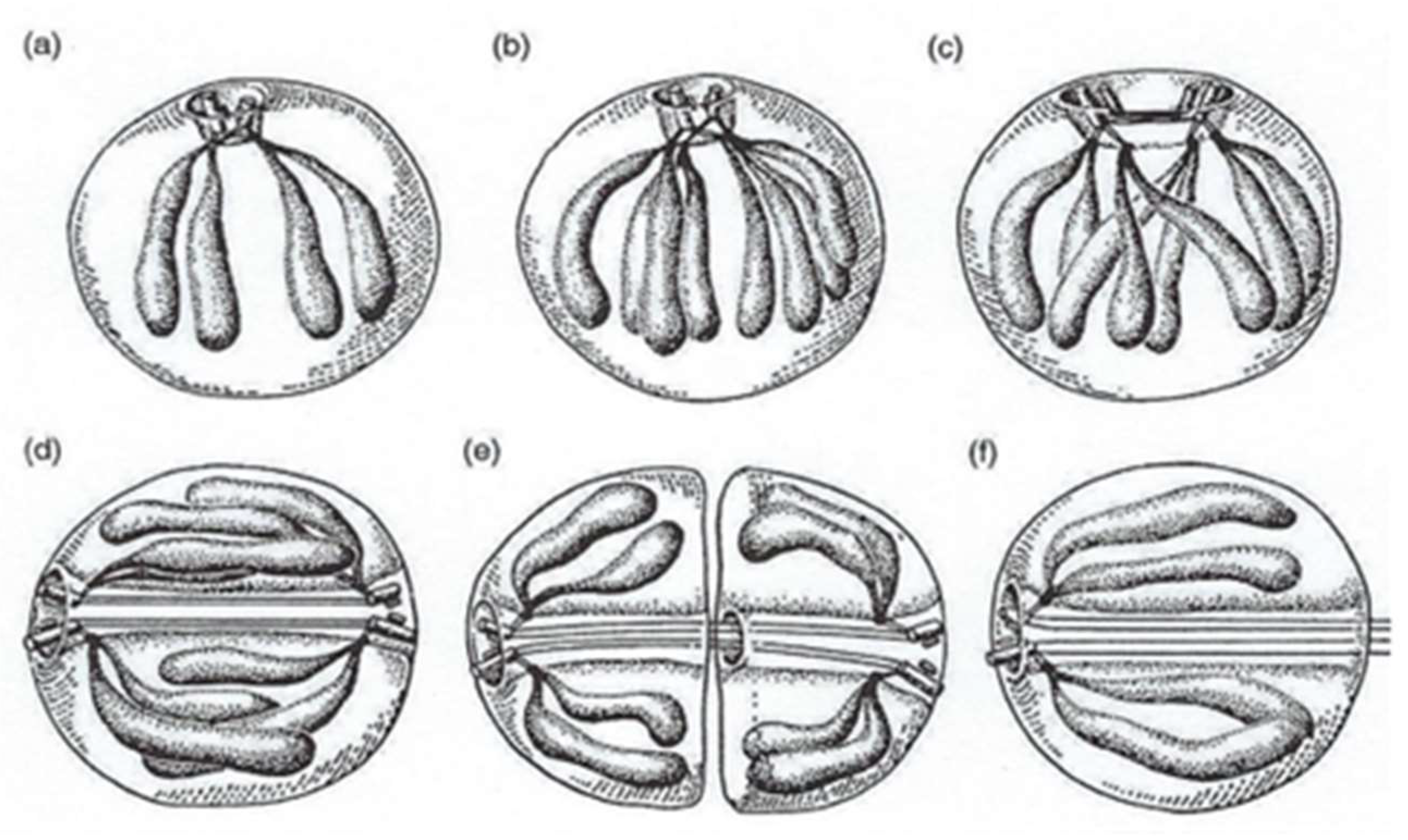 Preprints 153394 g018
